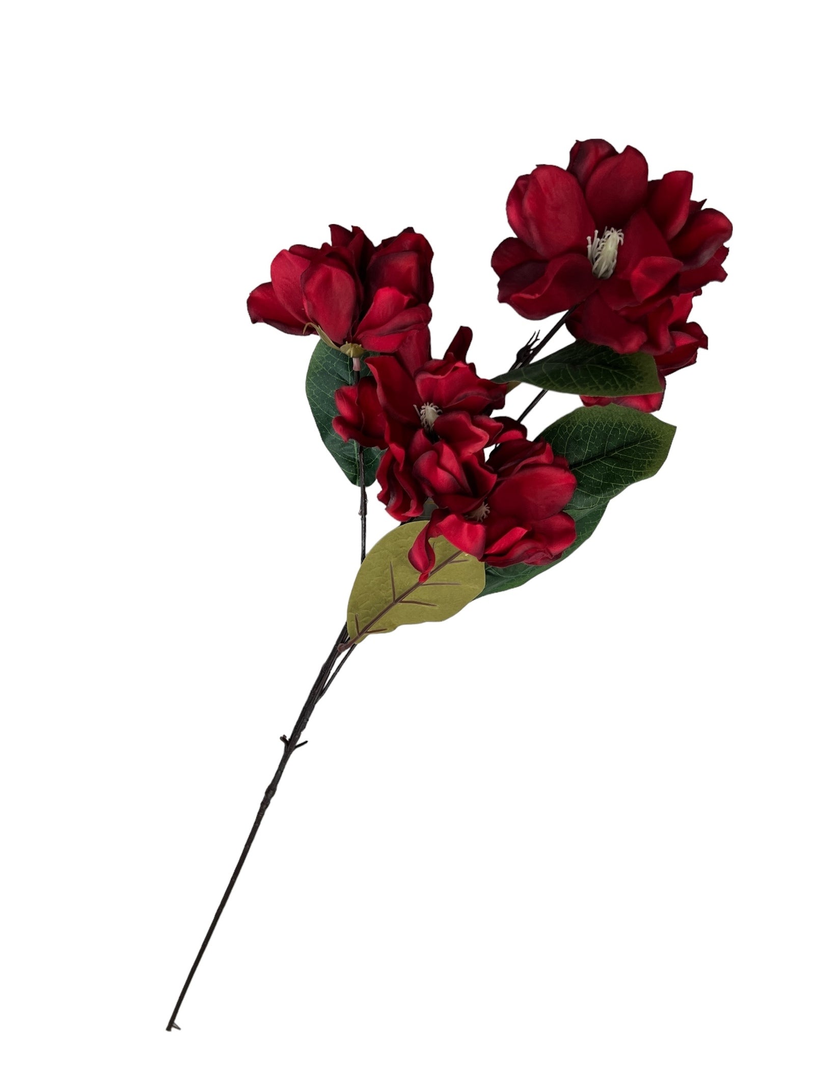 Photoroom_20240807_130206