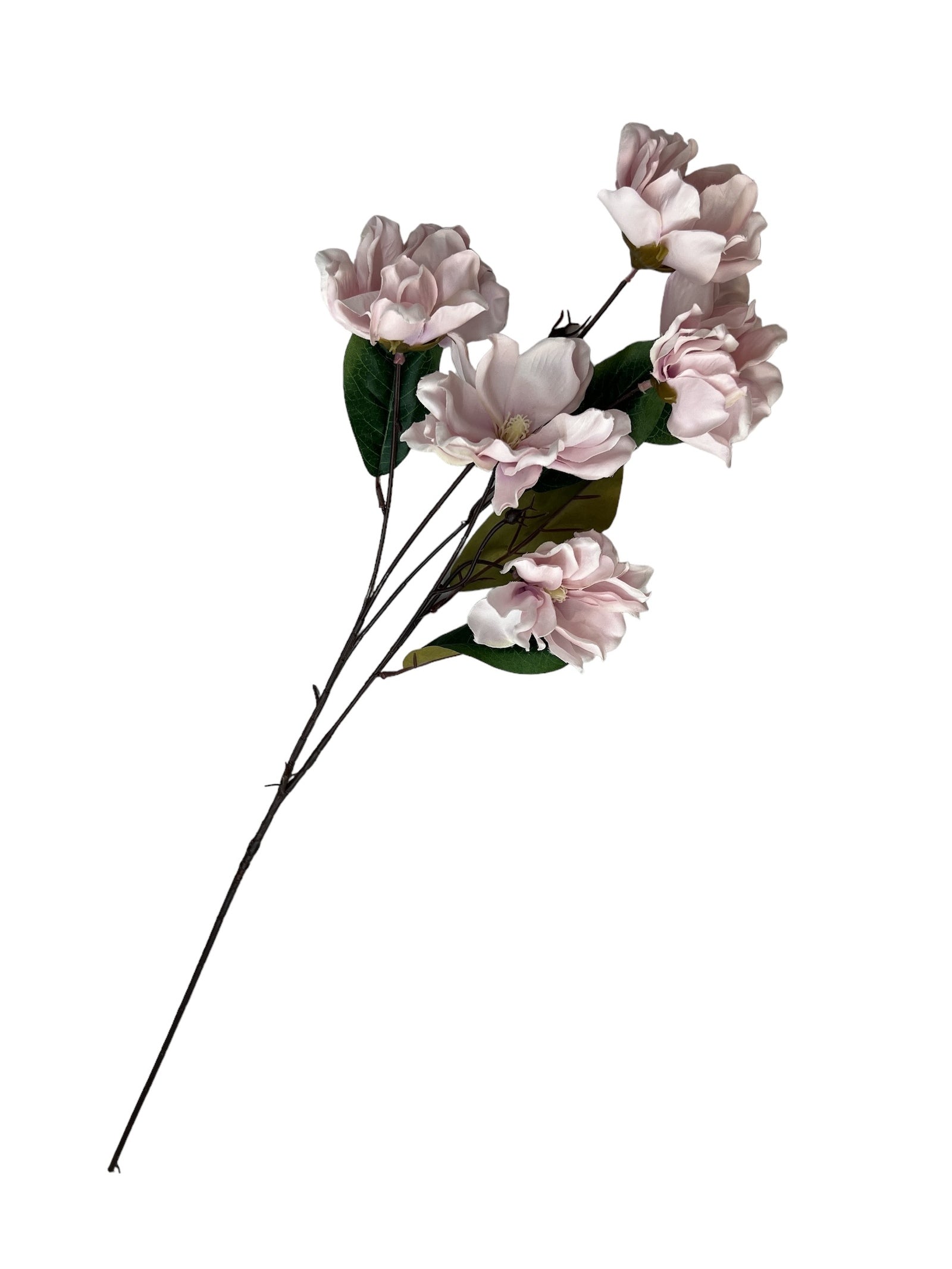 Photoroom_20240807_130234