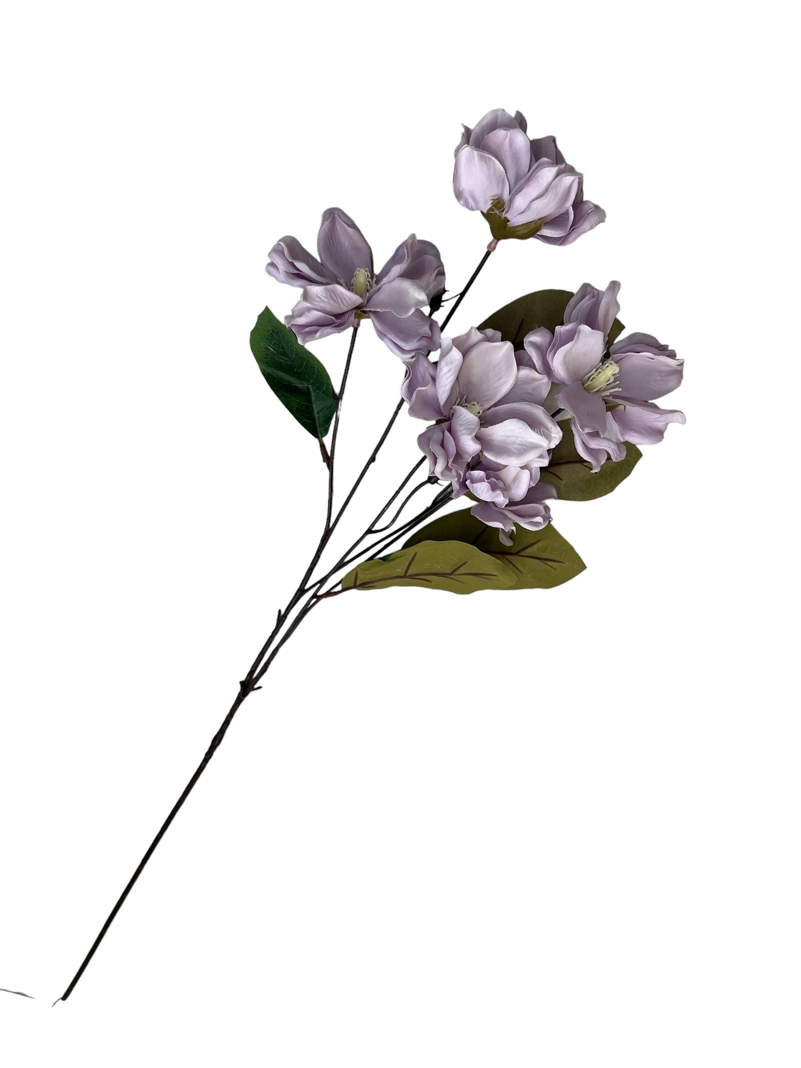 Photoroom_20240807_130318