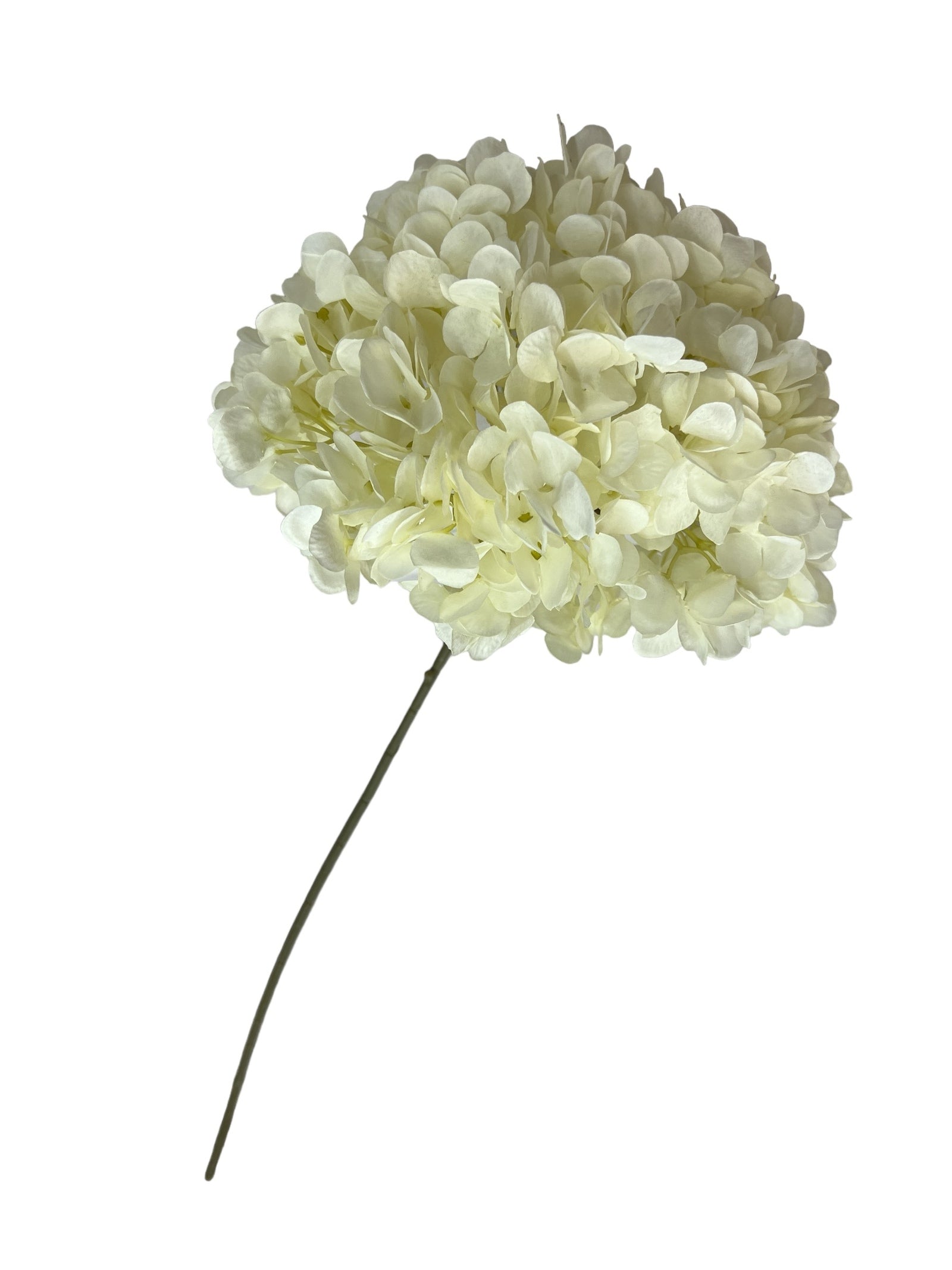 Photoroom_20240807_121023