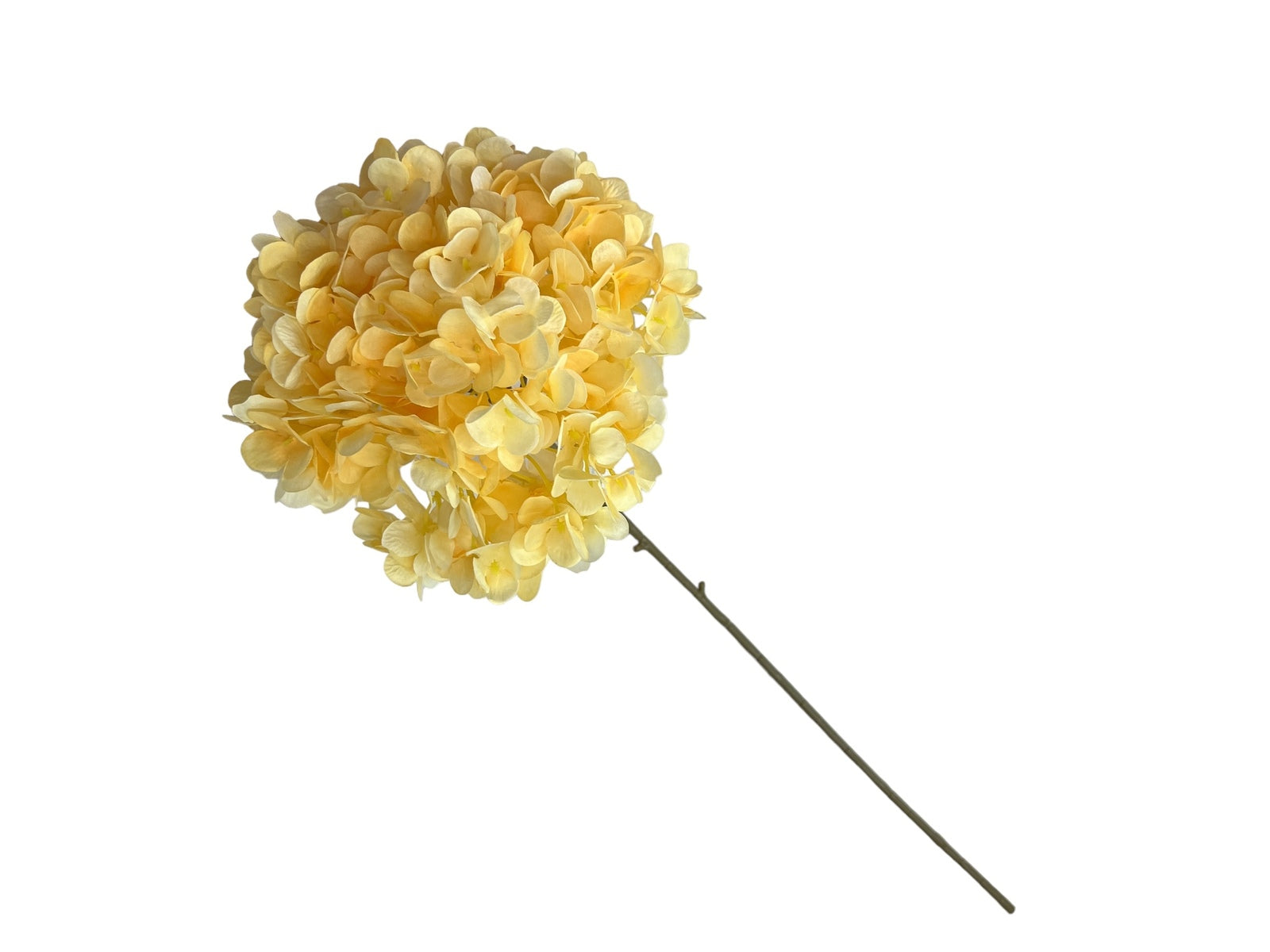 Photoroom_20240807_121105