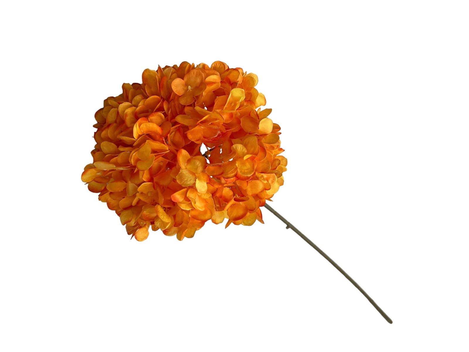 Photoroom_20240807_121143