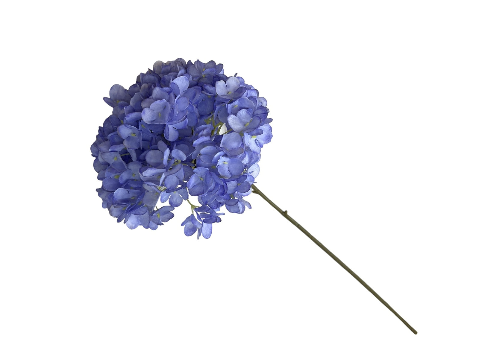 Photoroom_20240807_121242