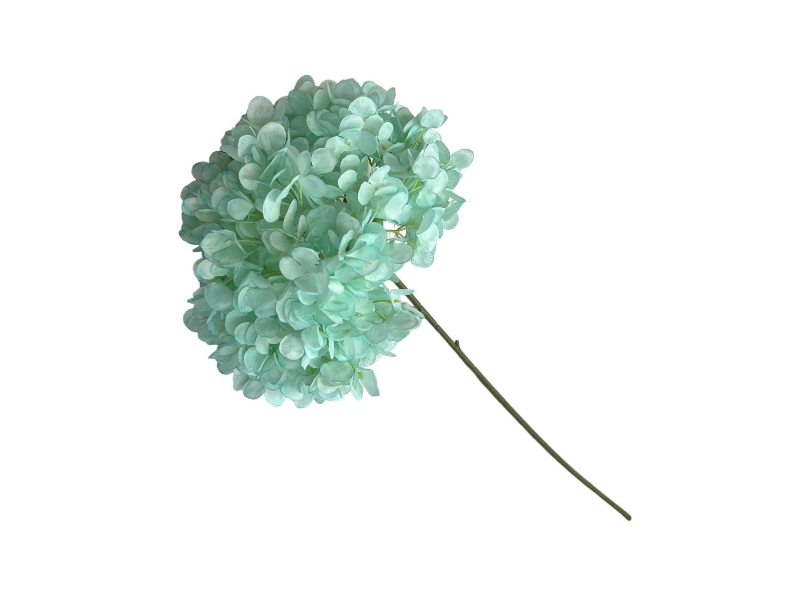 Photoroom_20240807_121338