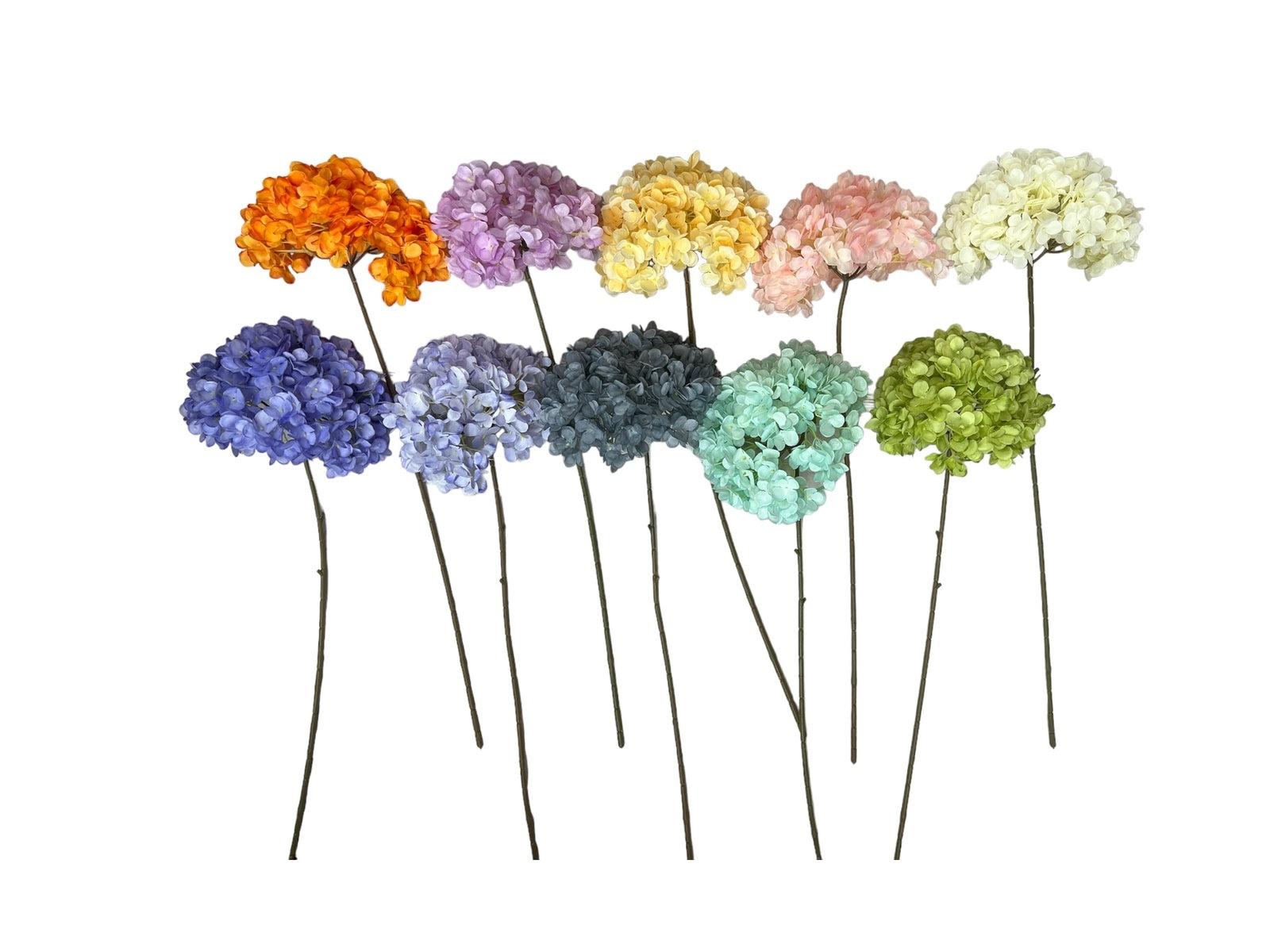 Photoroom_20240809_123345