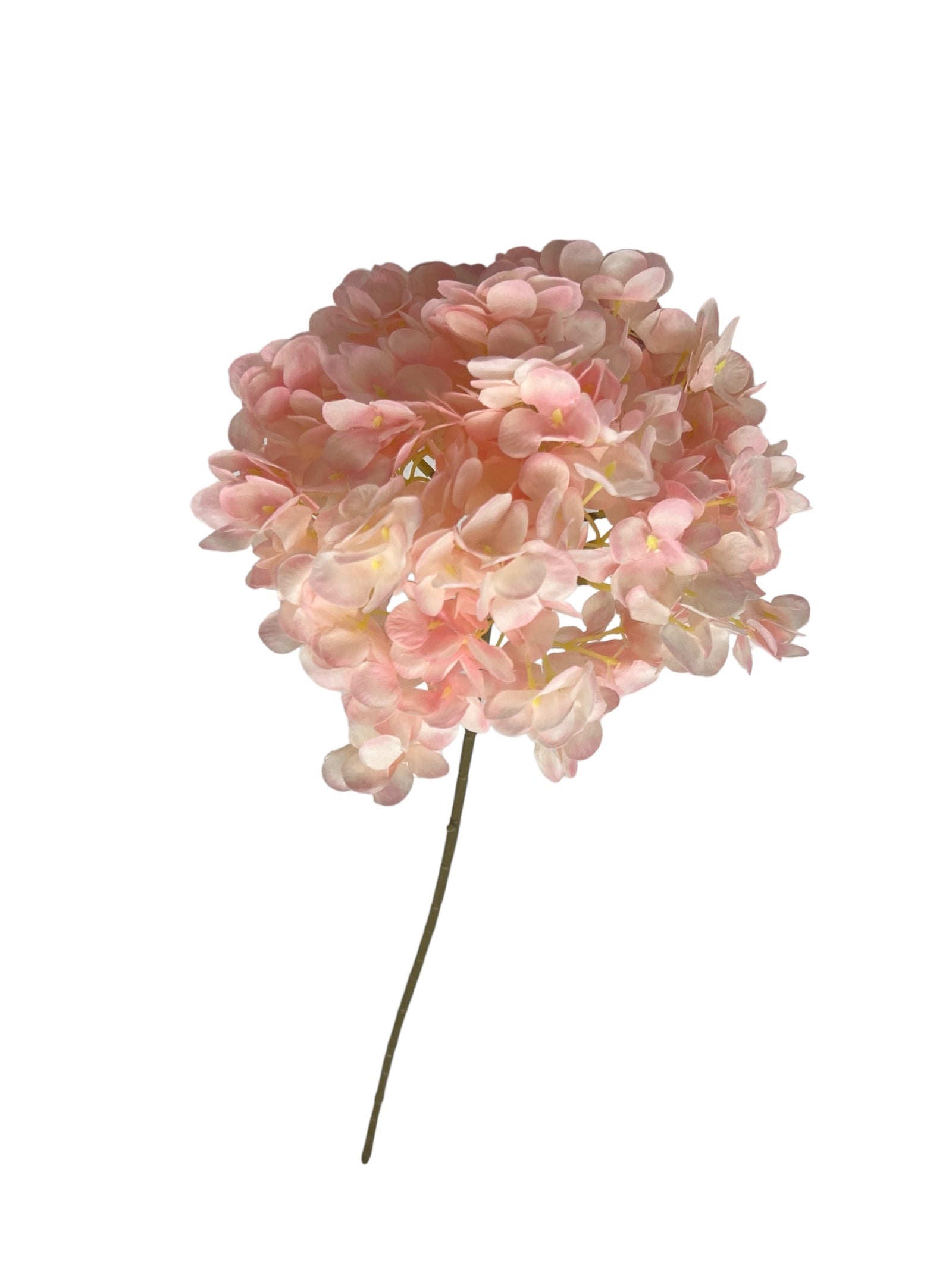 Photoroom_20240809_123426