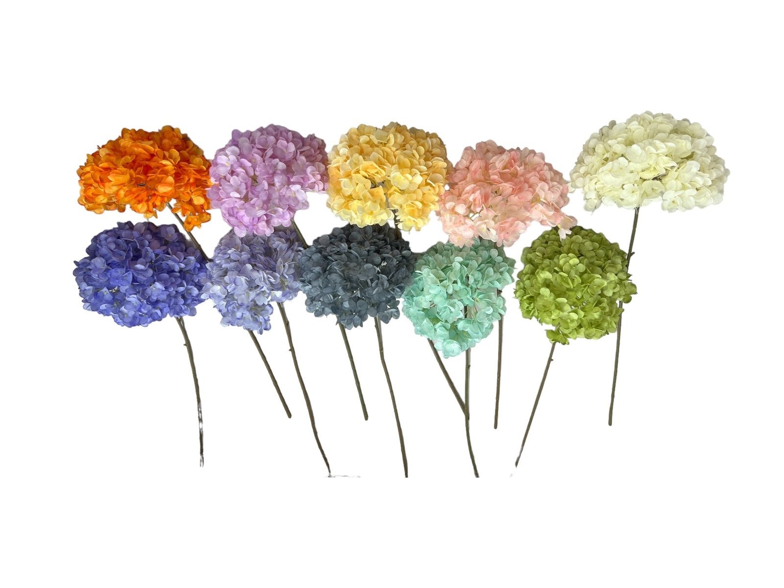 Photoroom_20240809_123535