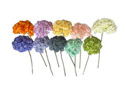 Photoroom_20240809_123535