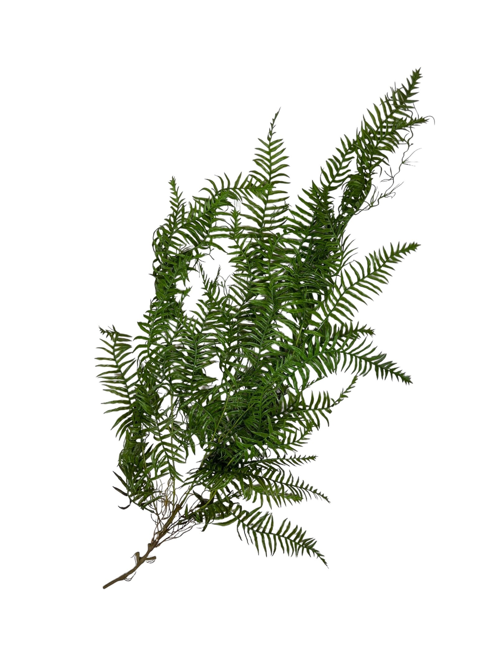 Creanga Frunze Decorativa Feriga 118cm