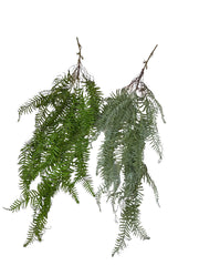 Photoroom_20240812_115924