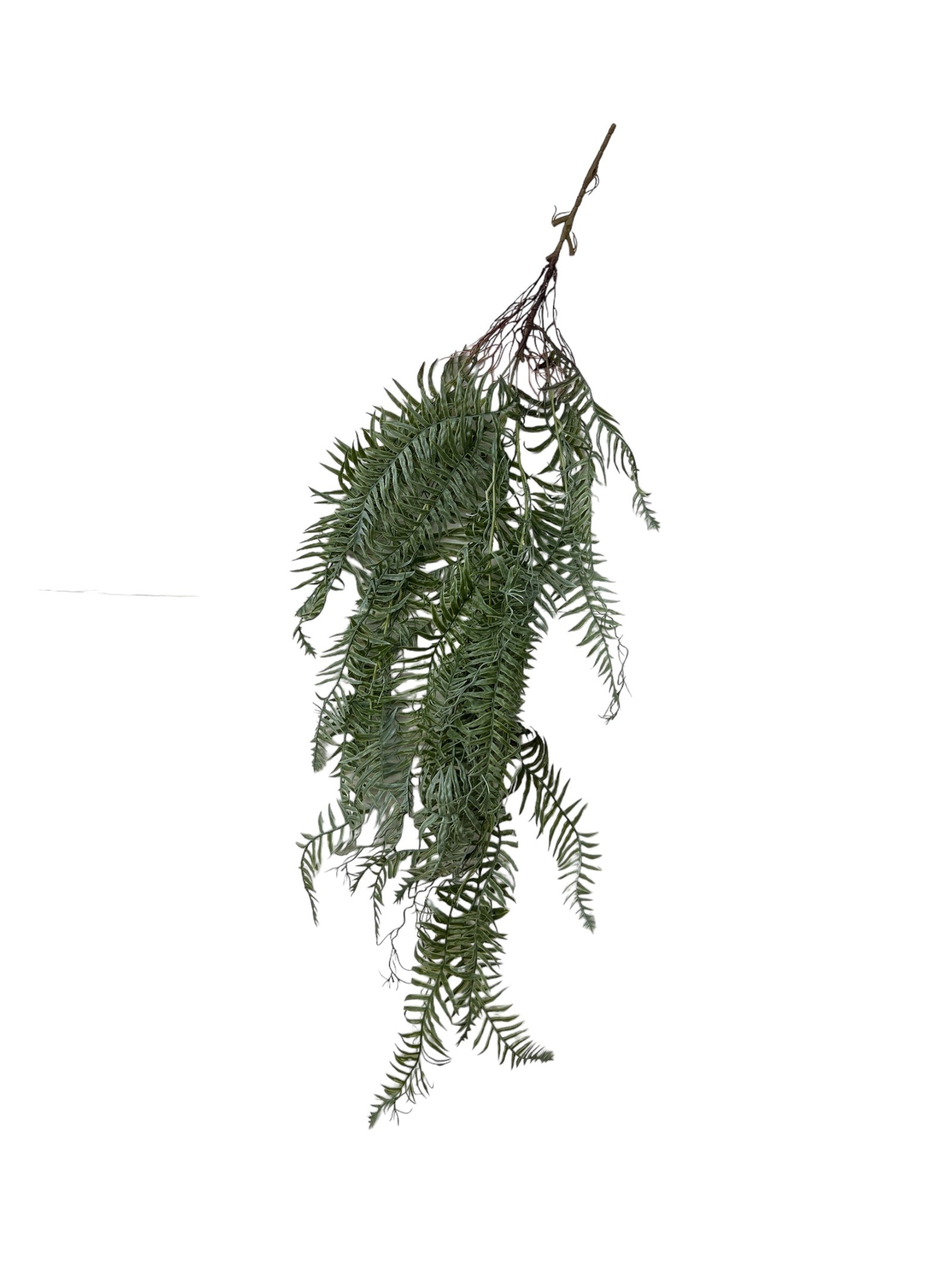 Photoroom_20240812_120018