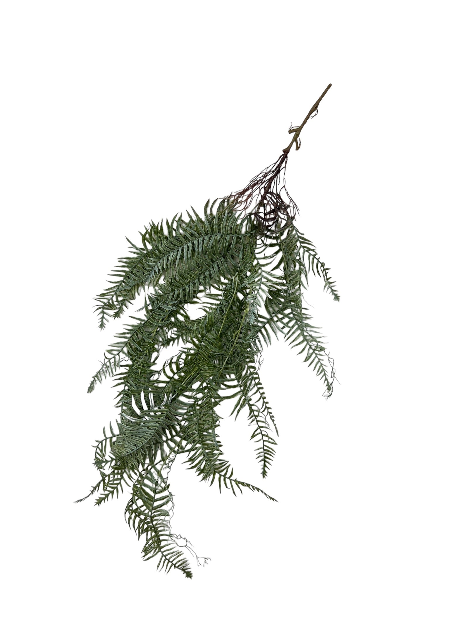 Photoroom_20240812_120106