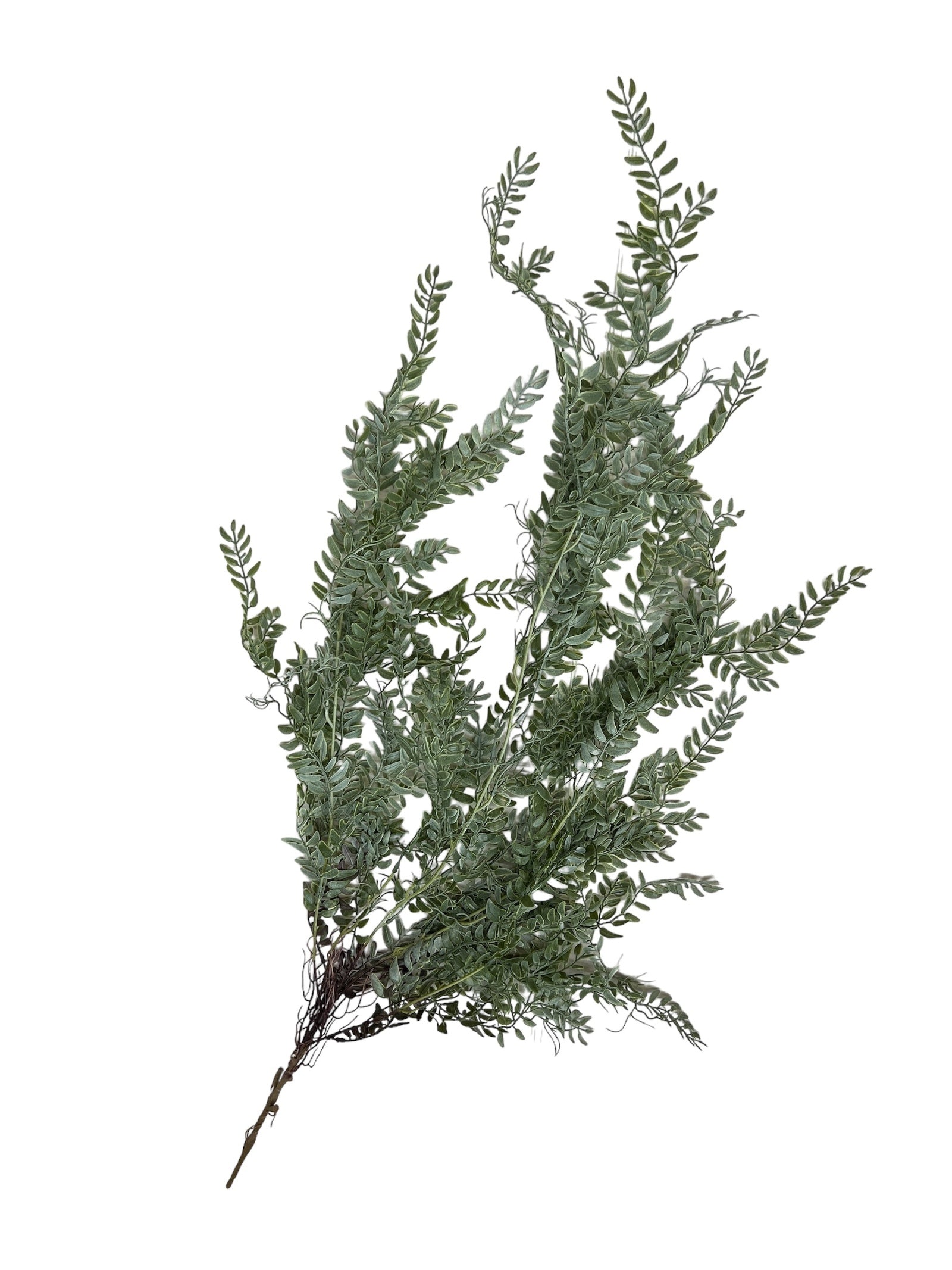 Photoroom_20240807_112622