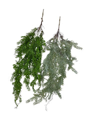 Photoroom_20240812_115421