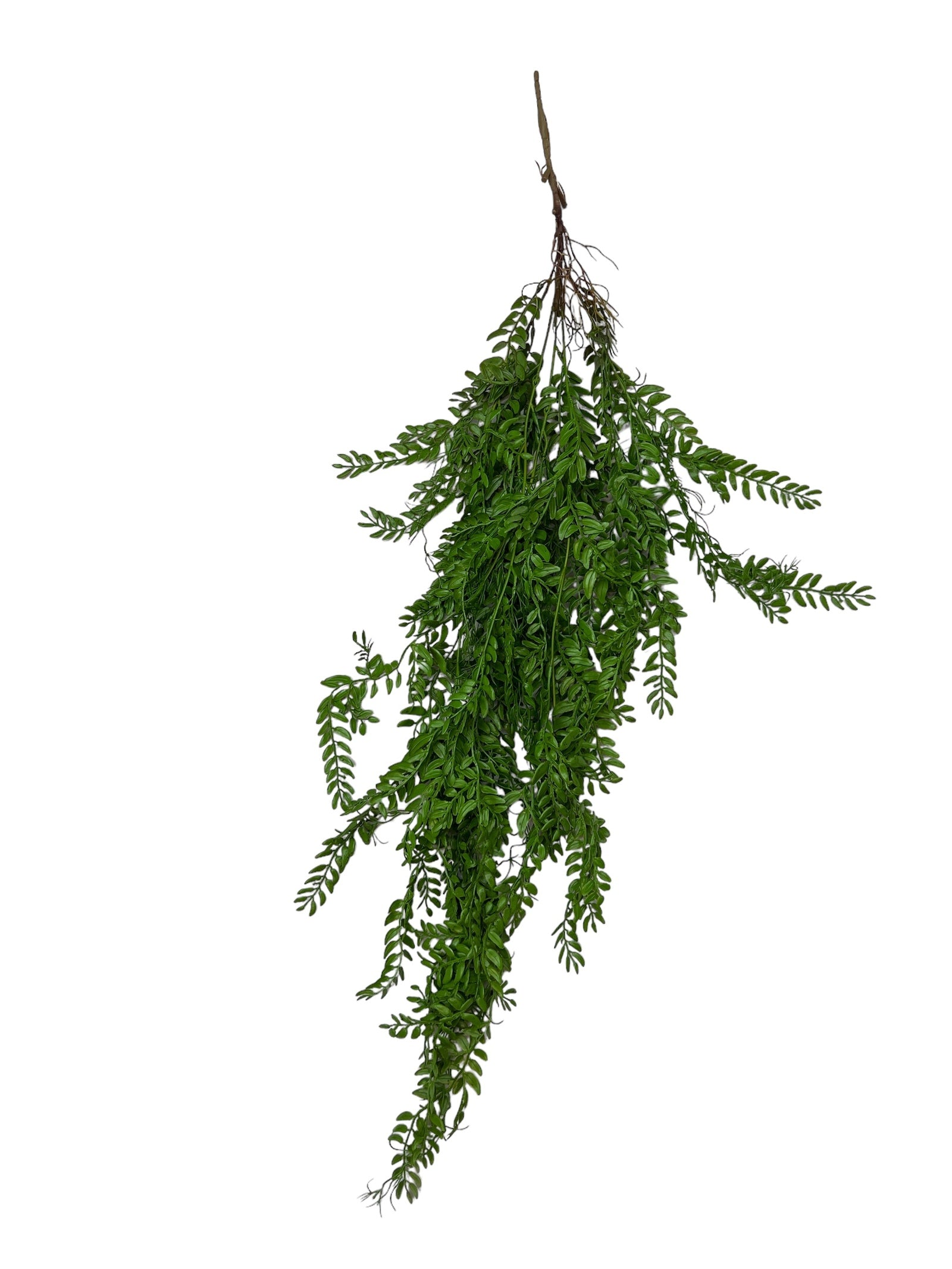 Photoroom_20240812_115510