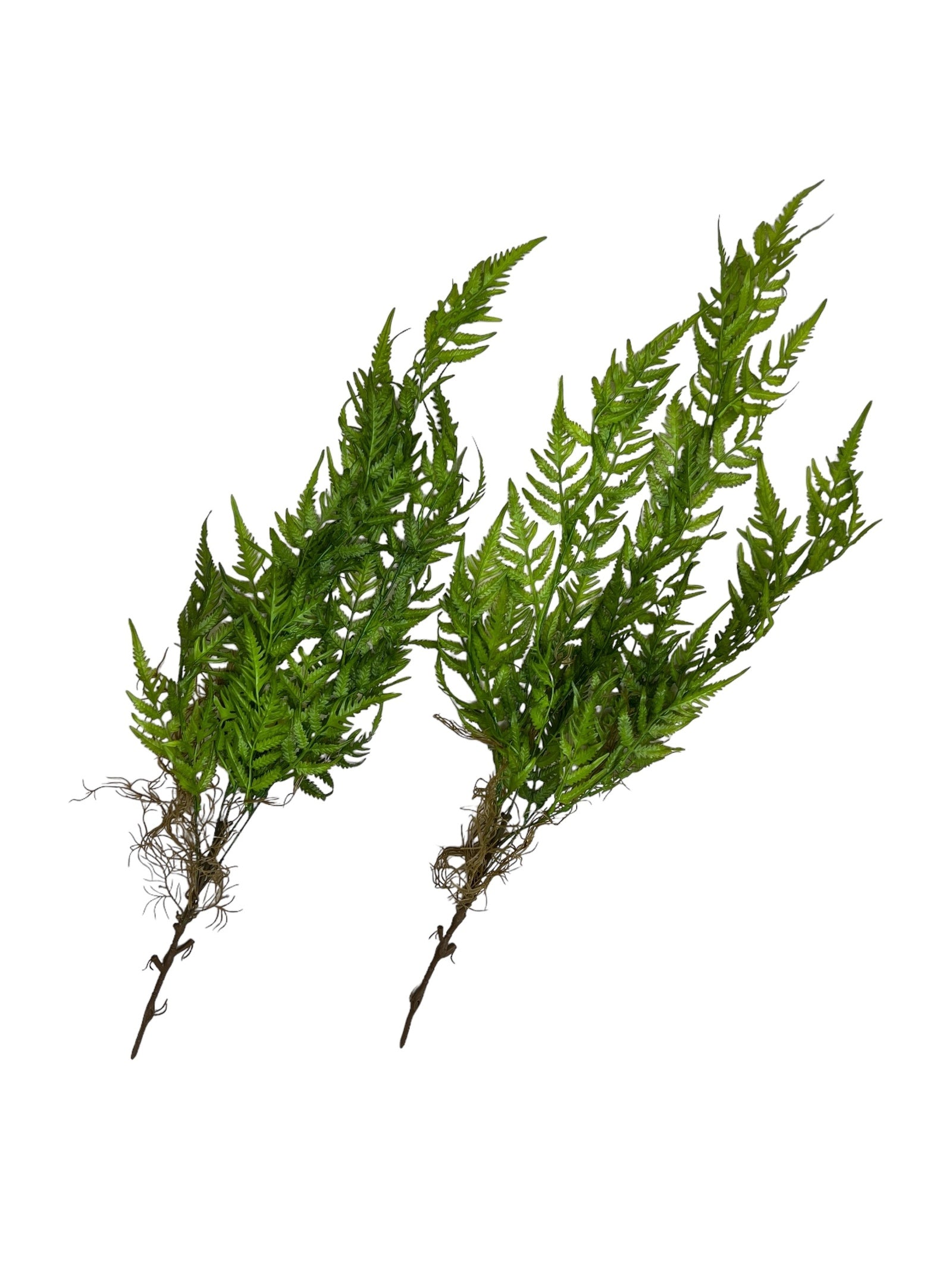 Photoroom_20240807_113150