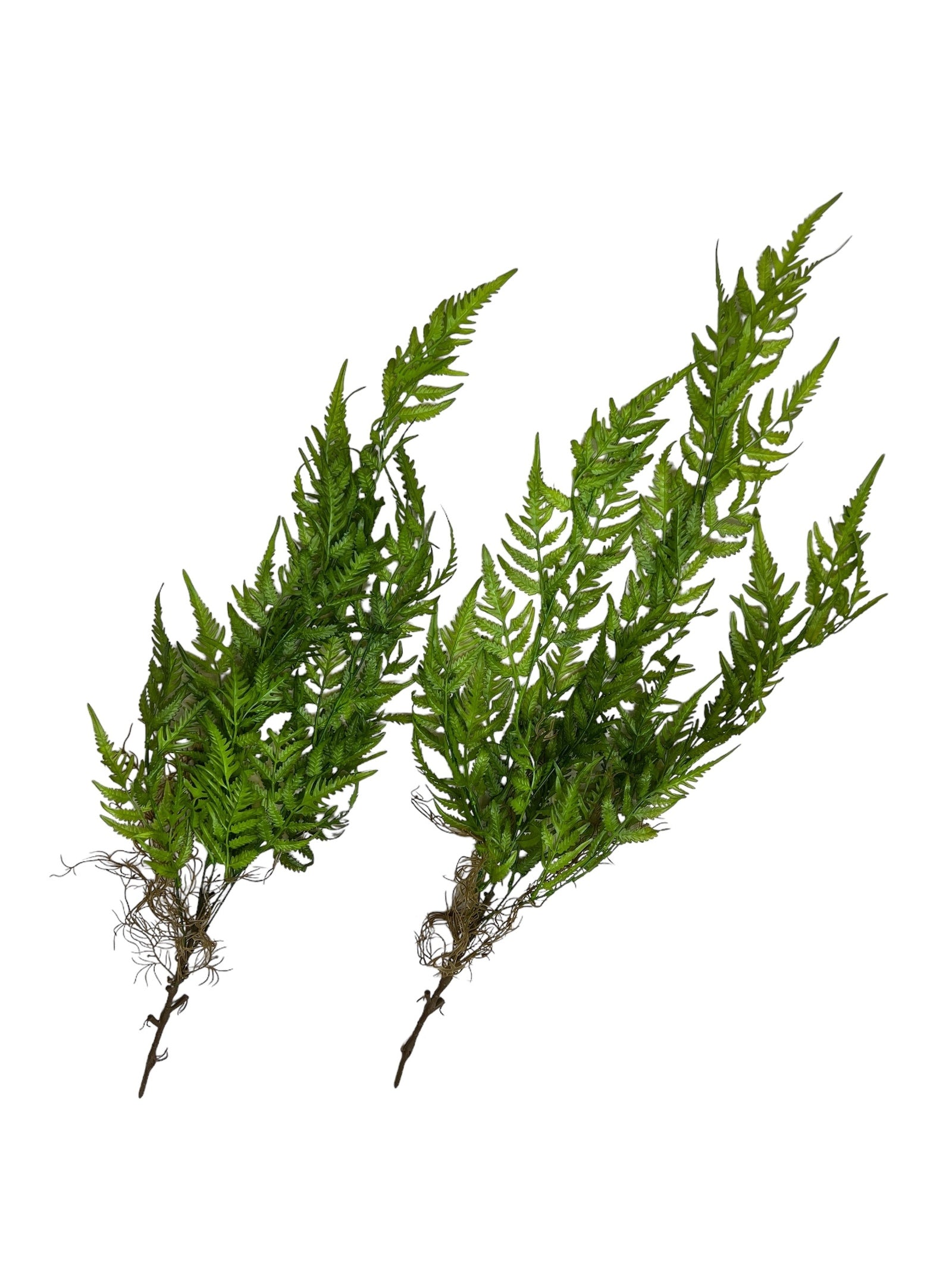 Photoroom_20240807_113218