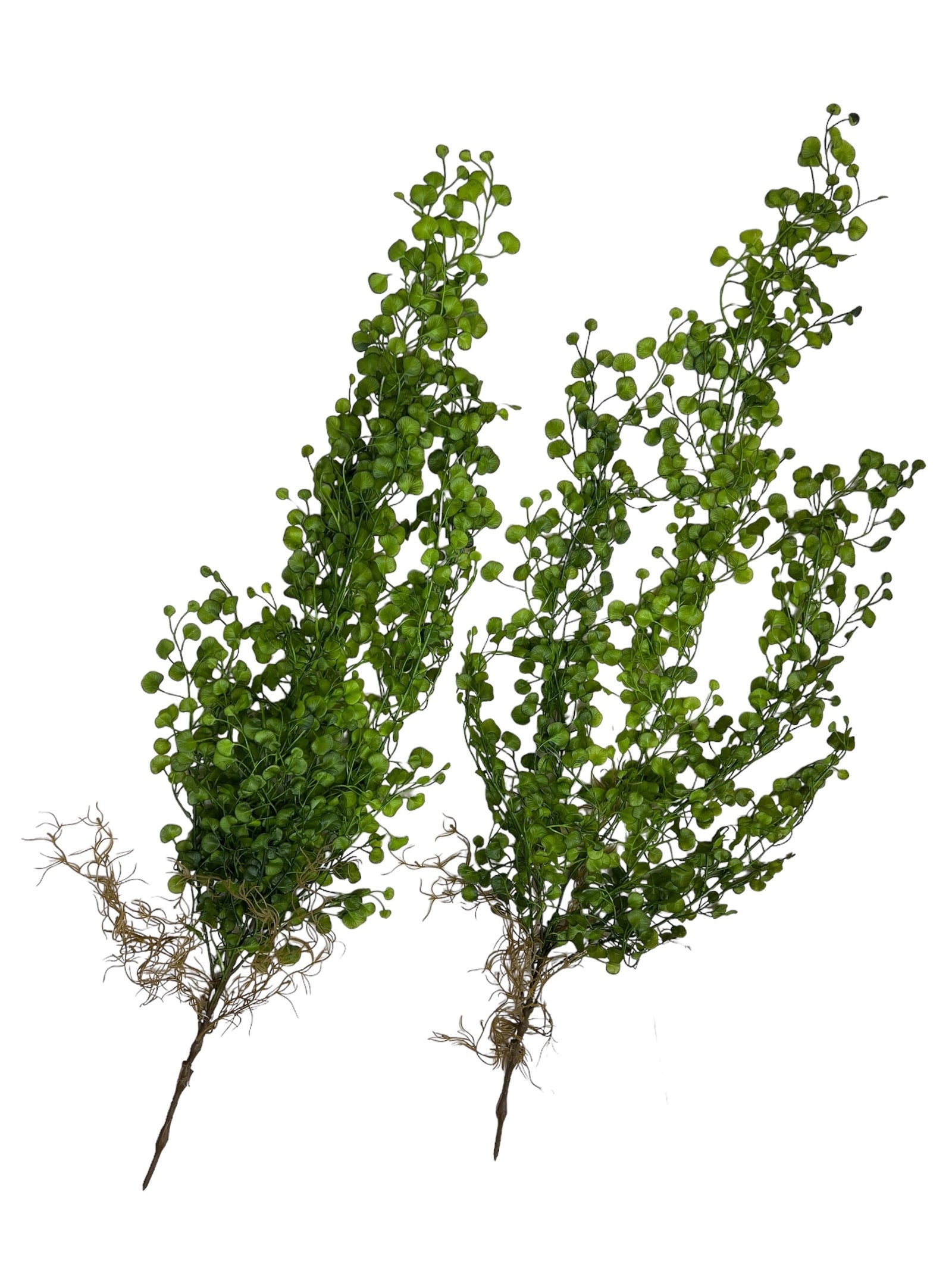 Photoroom_20240807_110519