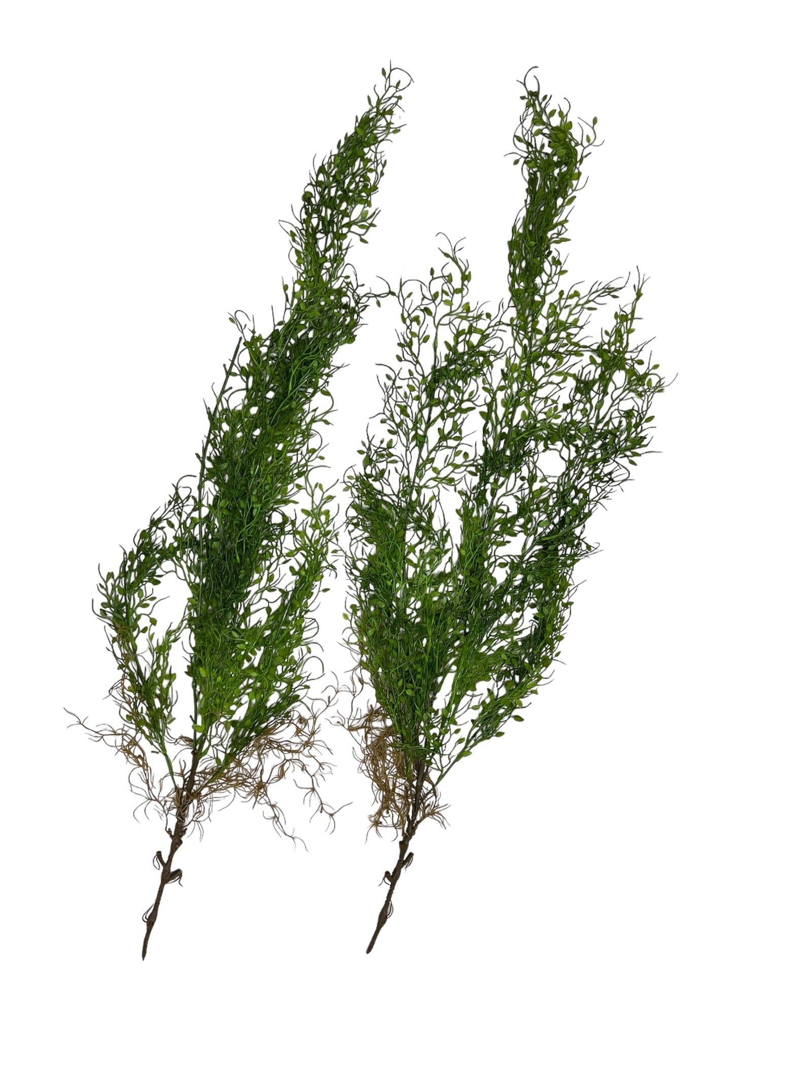 Photoroom_20240807_113610