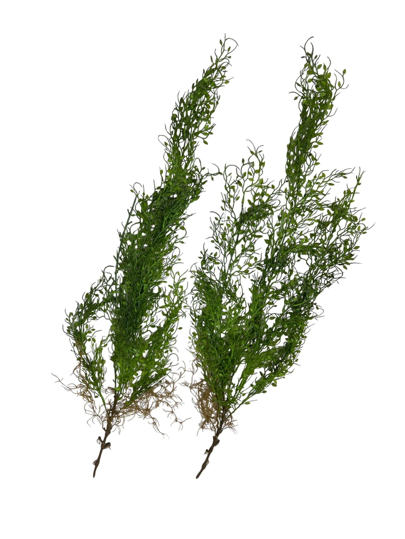 Photoroom_20240807_113629