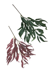 Photoroom_20240808_113644