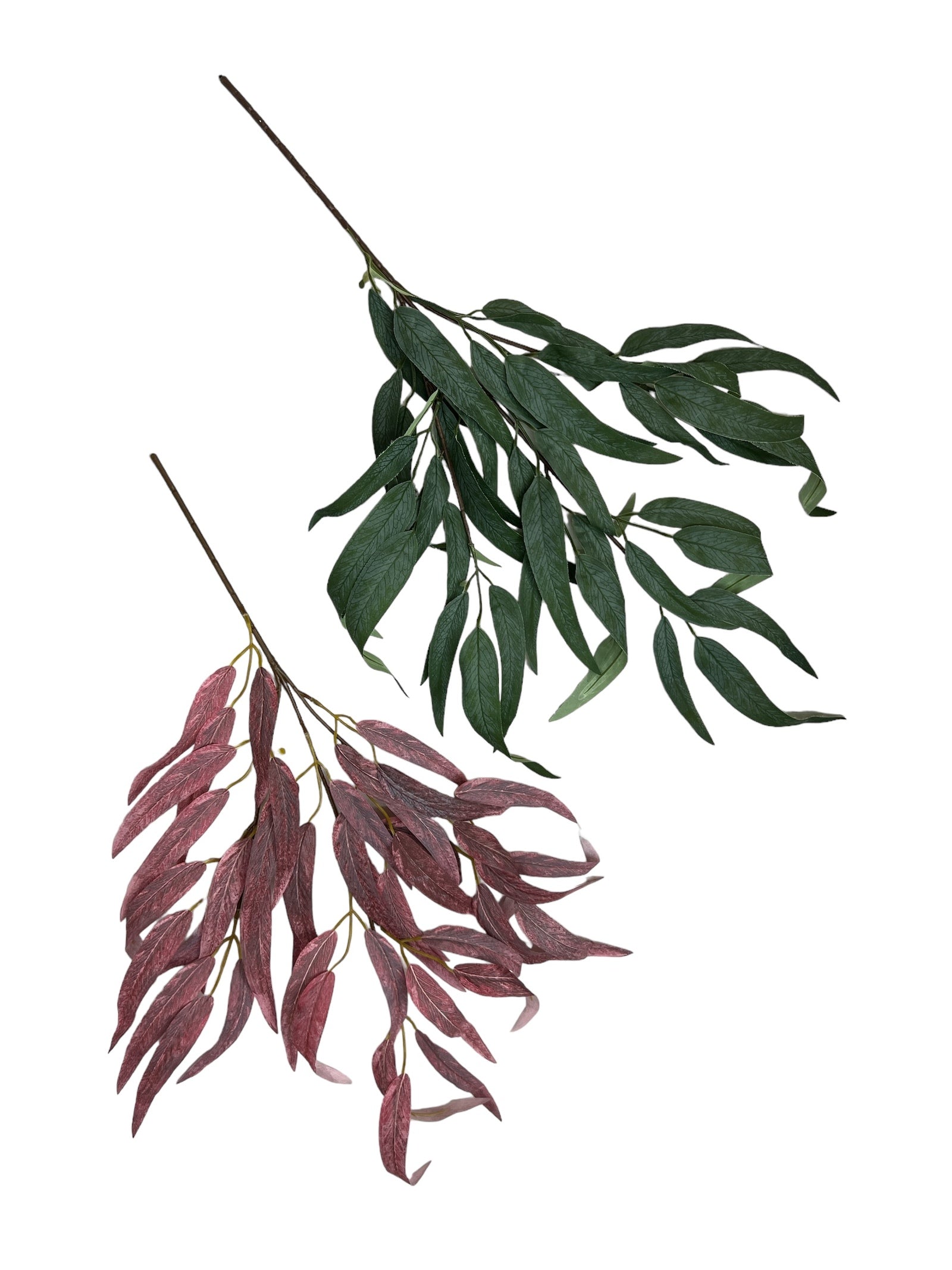 Photoroom_20240808_113644