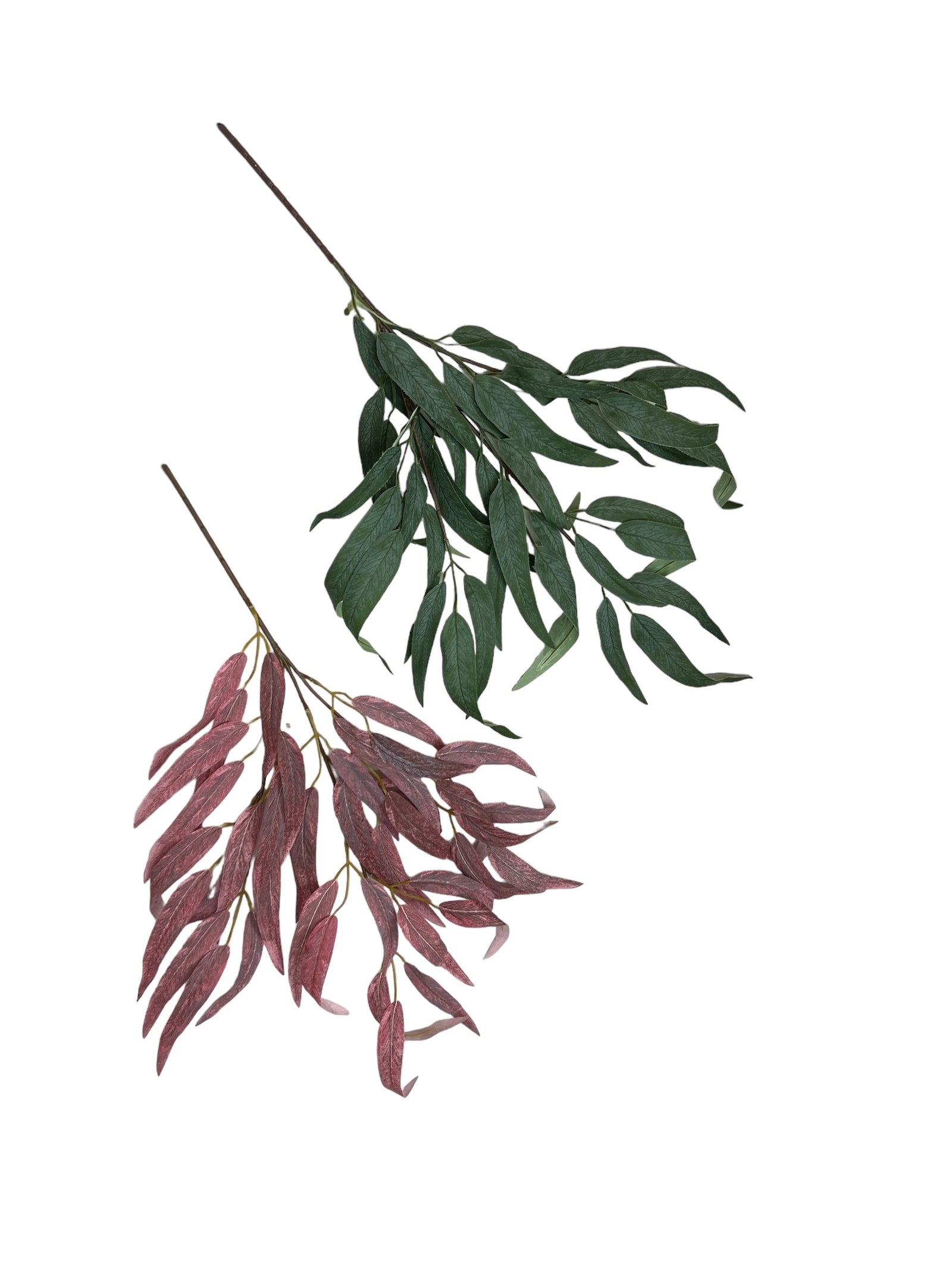 Photoroom_20240808_113714