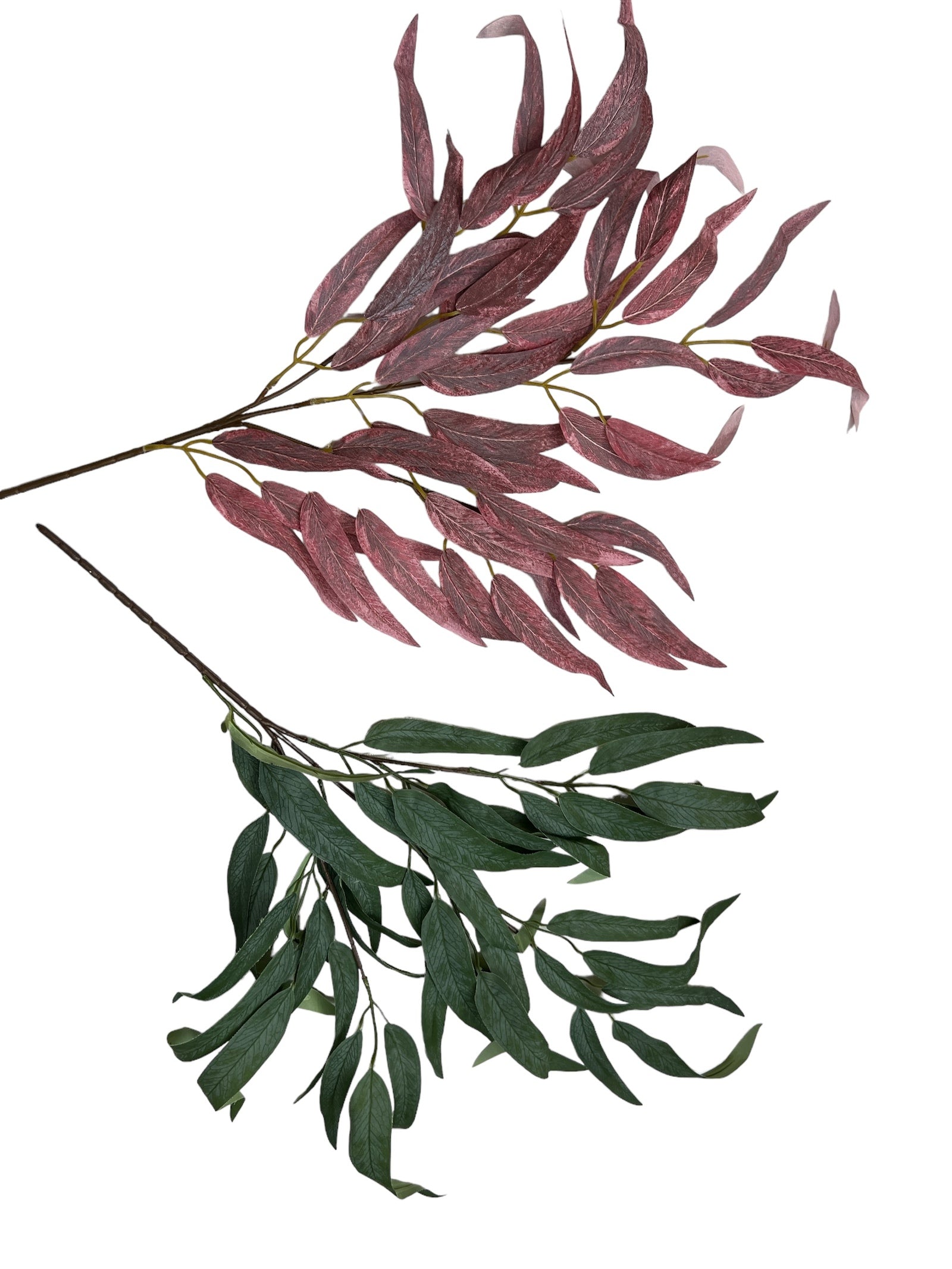 Photoroom_20240808_113805