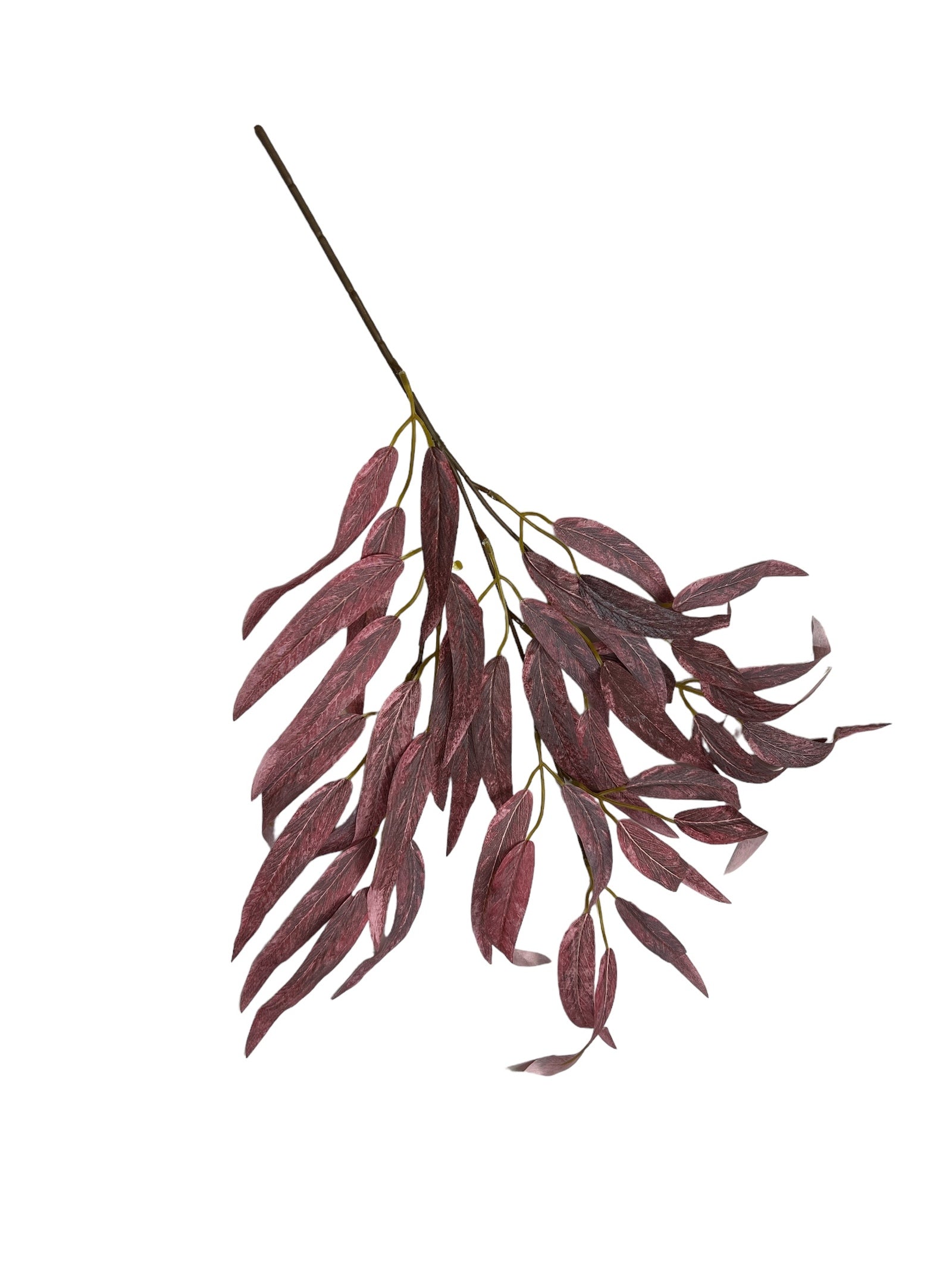 Photoroom_20240808_113825