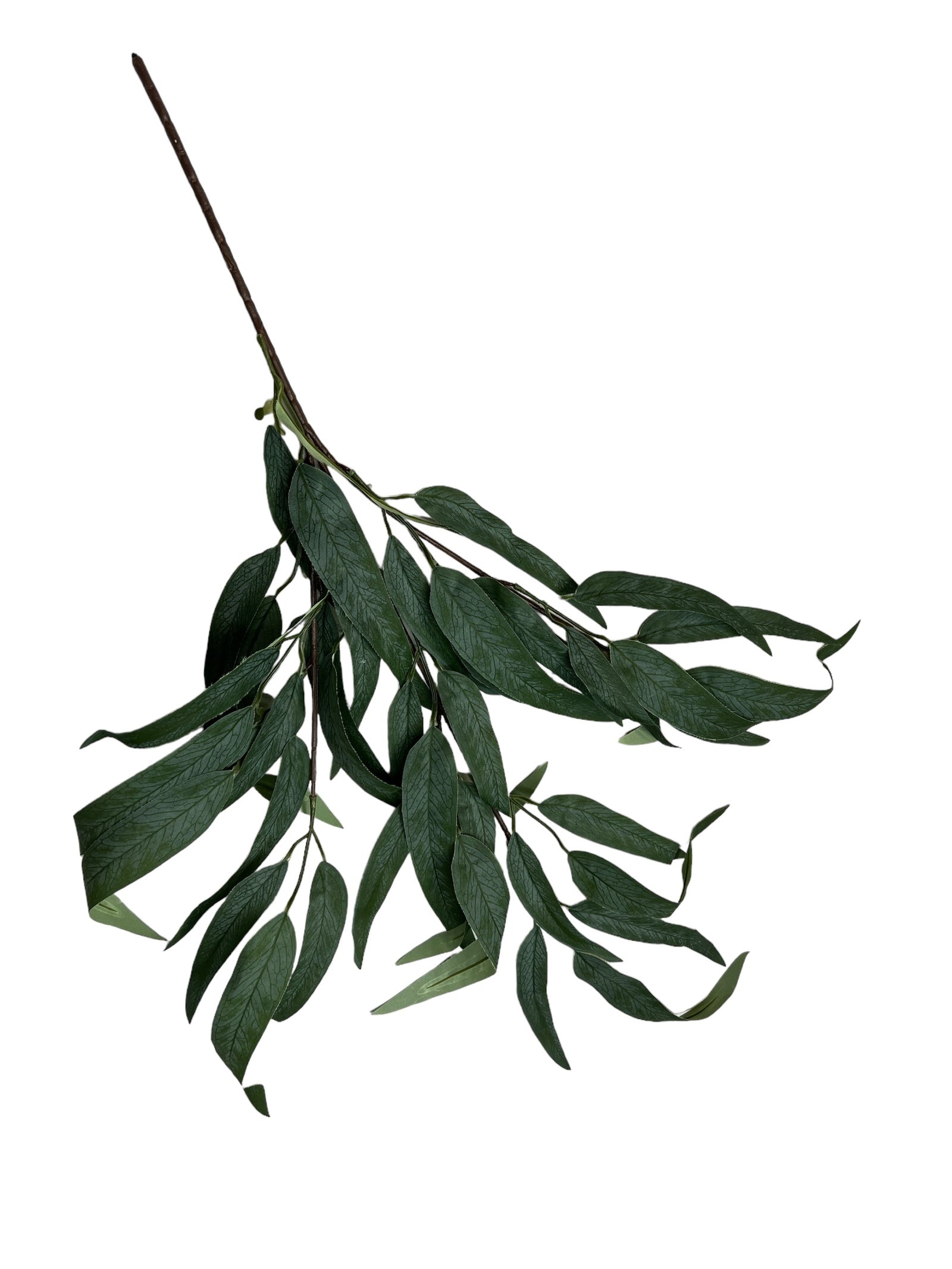 Photoroom_20240808_113849