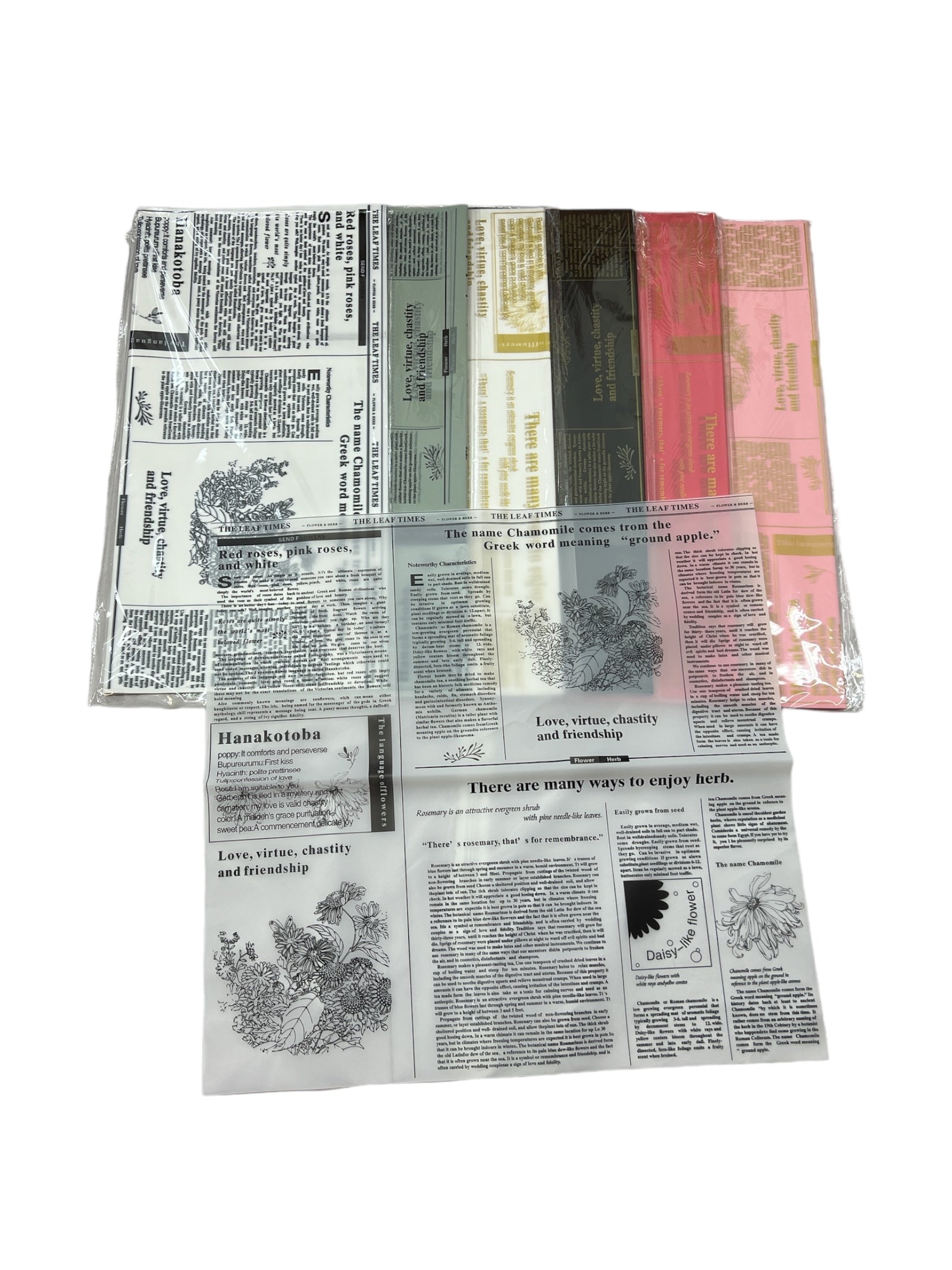 Photoroom_20240809_122133