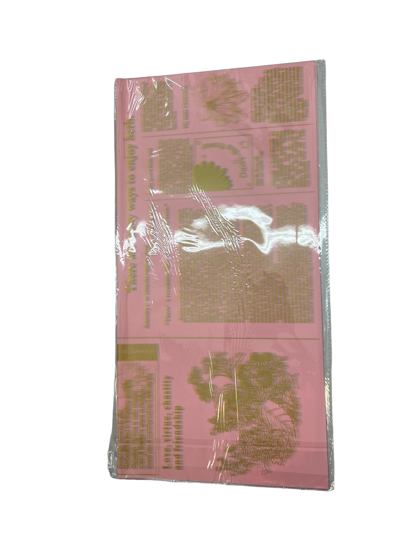 Photoroom_20240809_122330