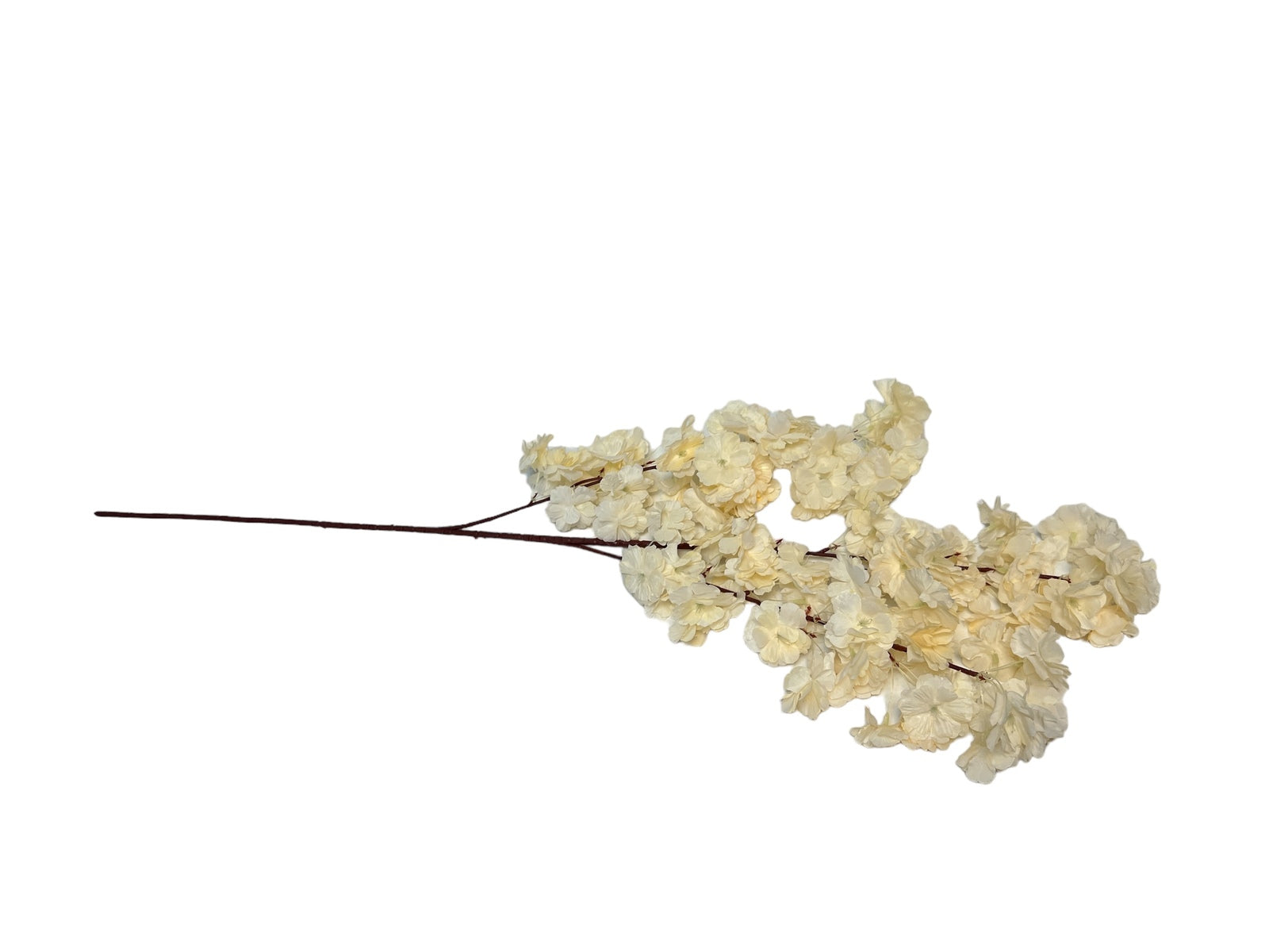 Photoroom_20240816_142152