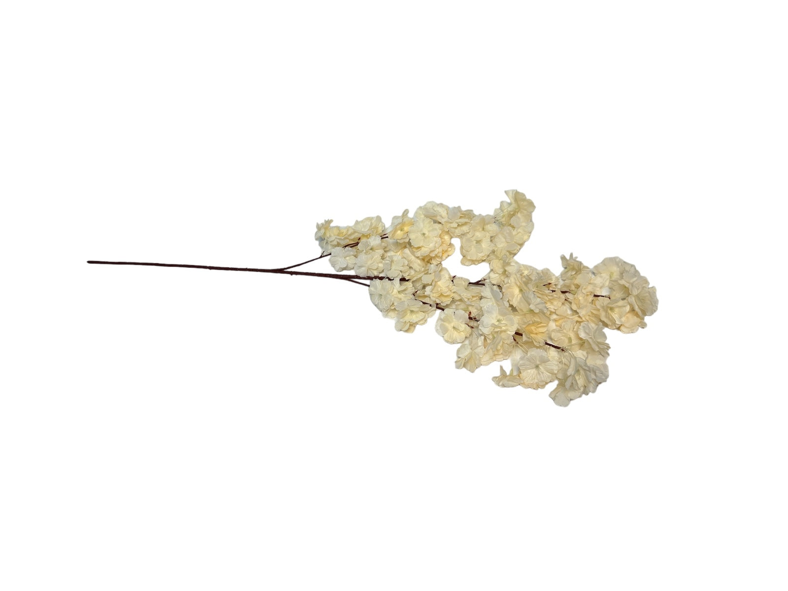 Photoroom_20240816_142227