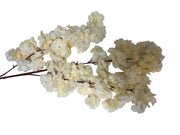 Photoroom_20240816_142329