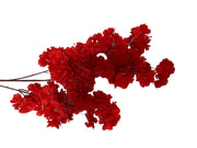 Photoroom_20240816_142527