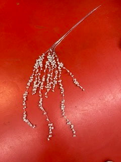 IMG_0627 Mică Mare