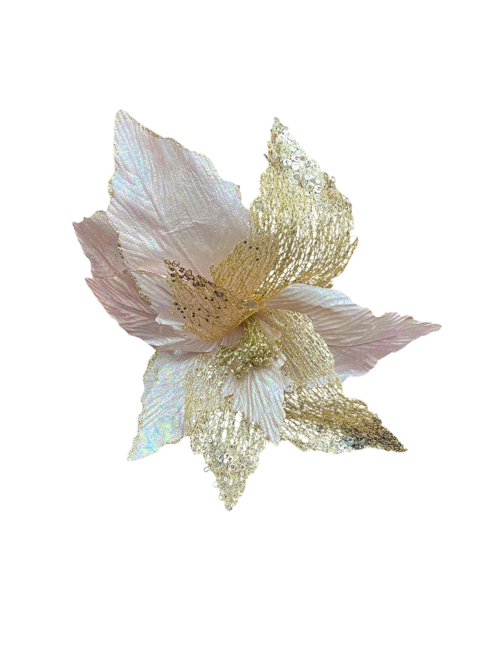 Floarea Craciunului Sidefat