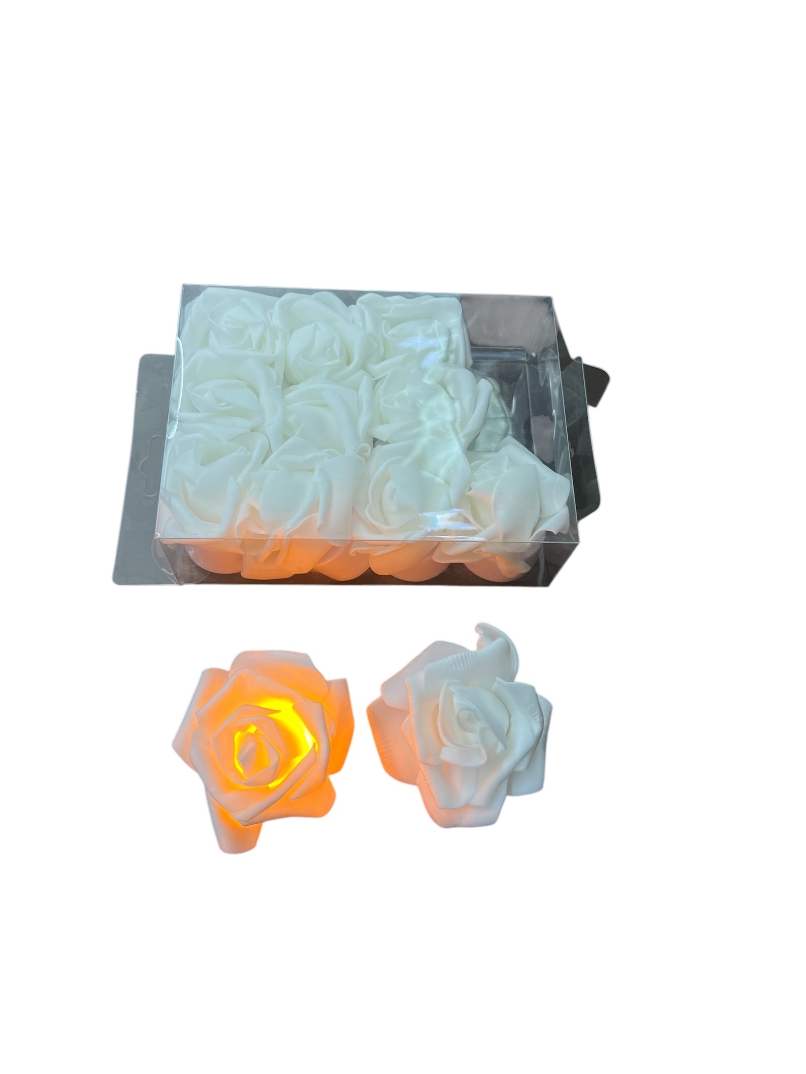 Photoroom_20241213_112747