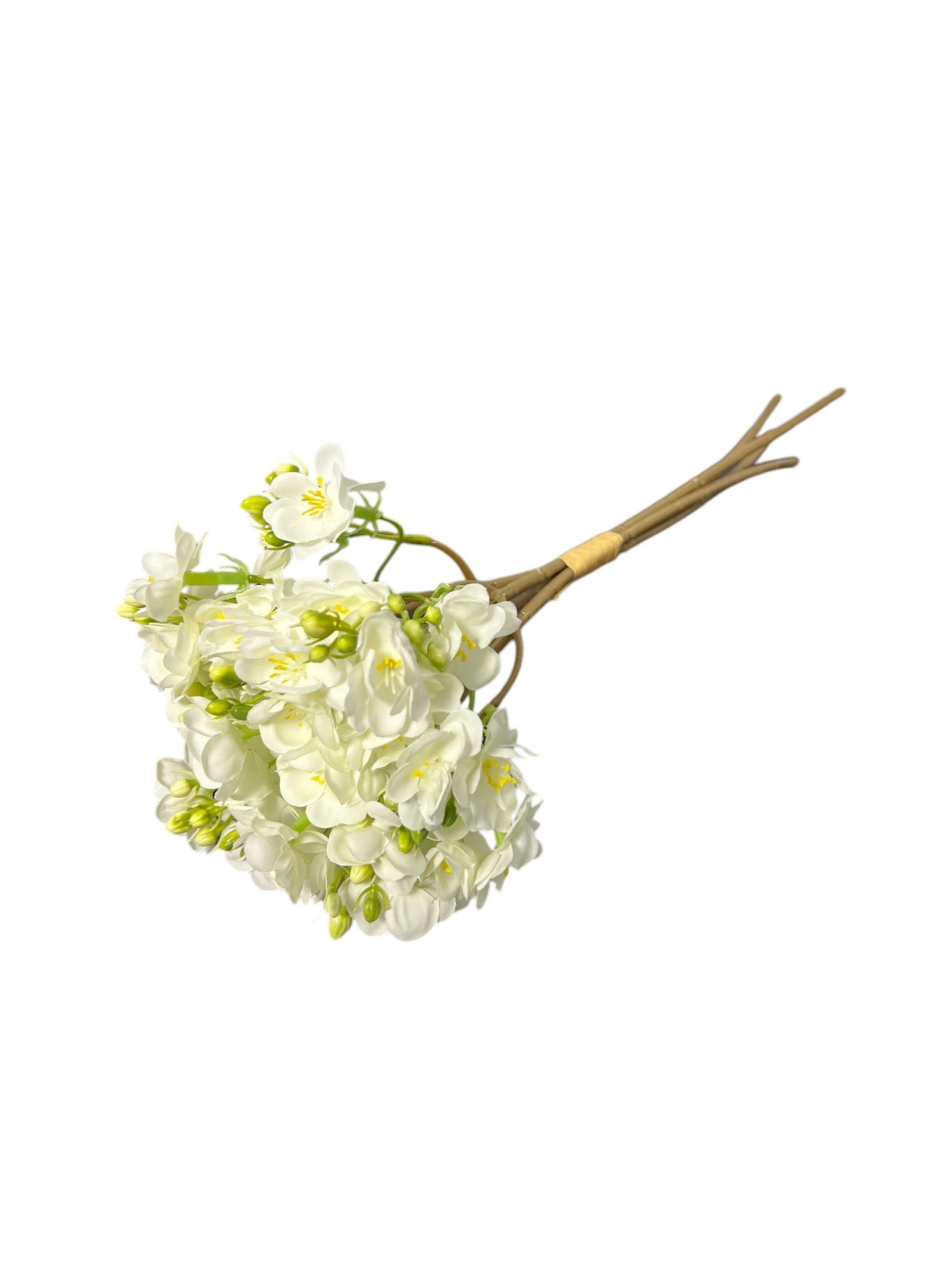 Photoroom_20241214_162035