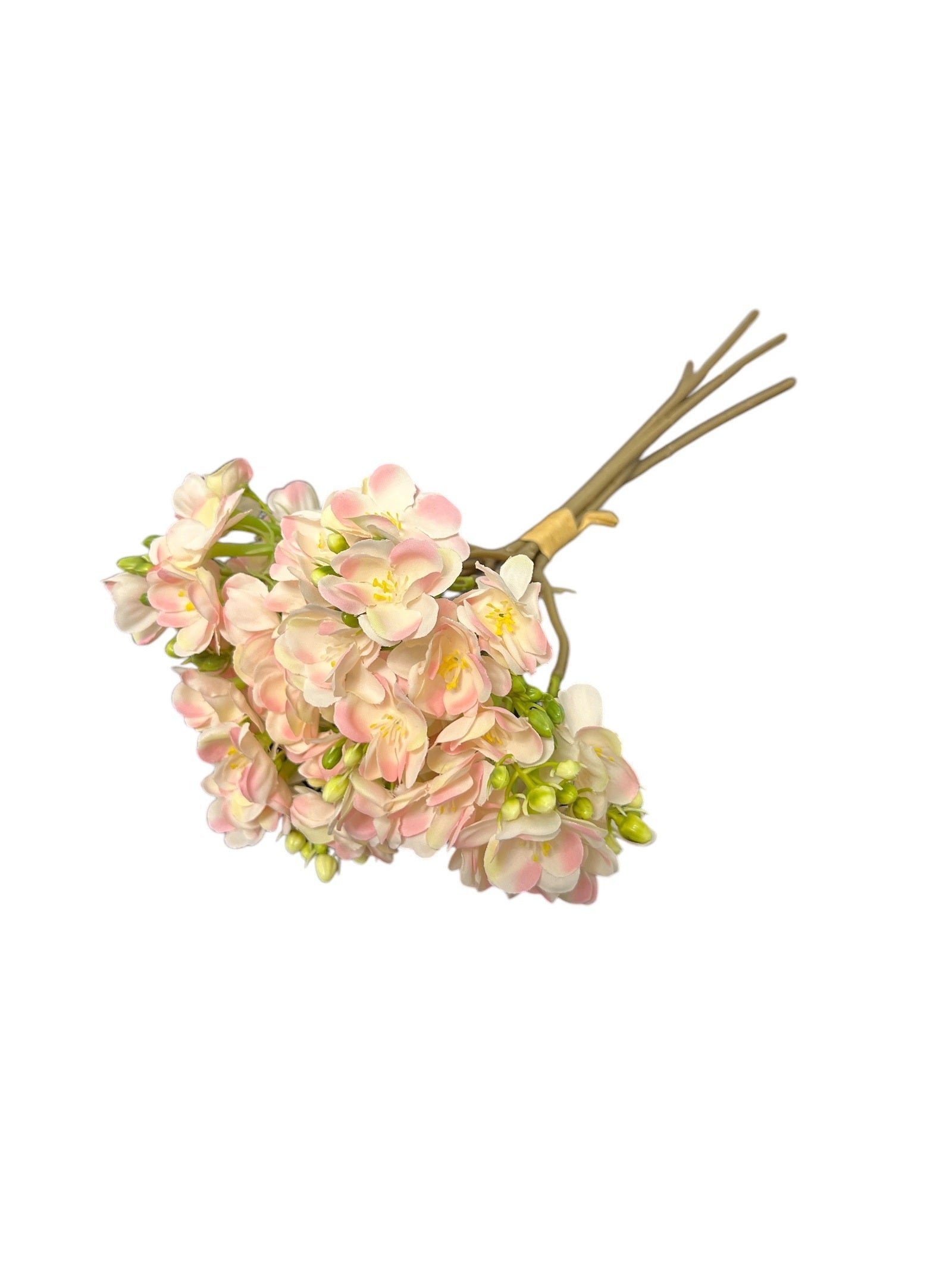 Photoroom_20241214_162100