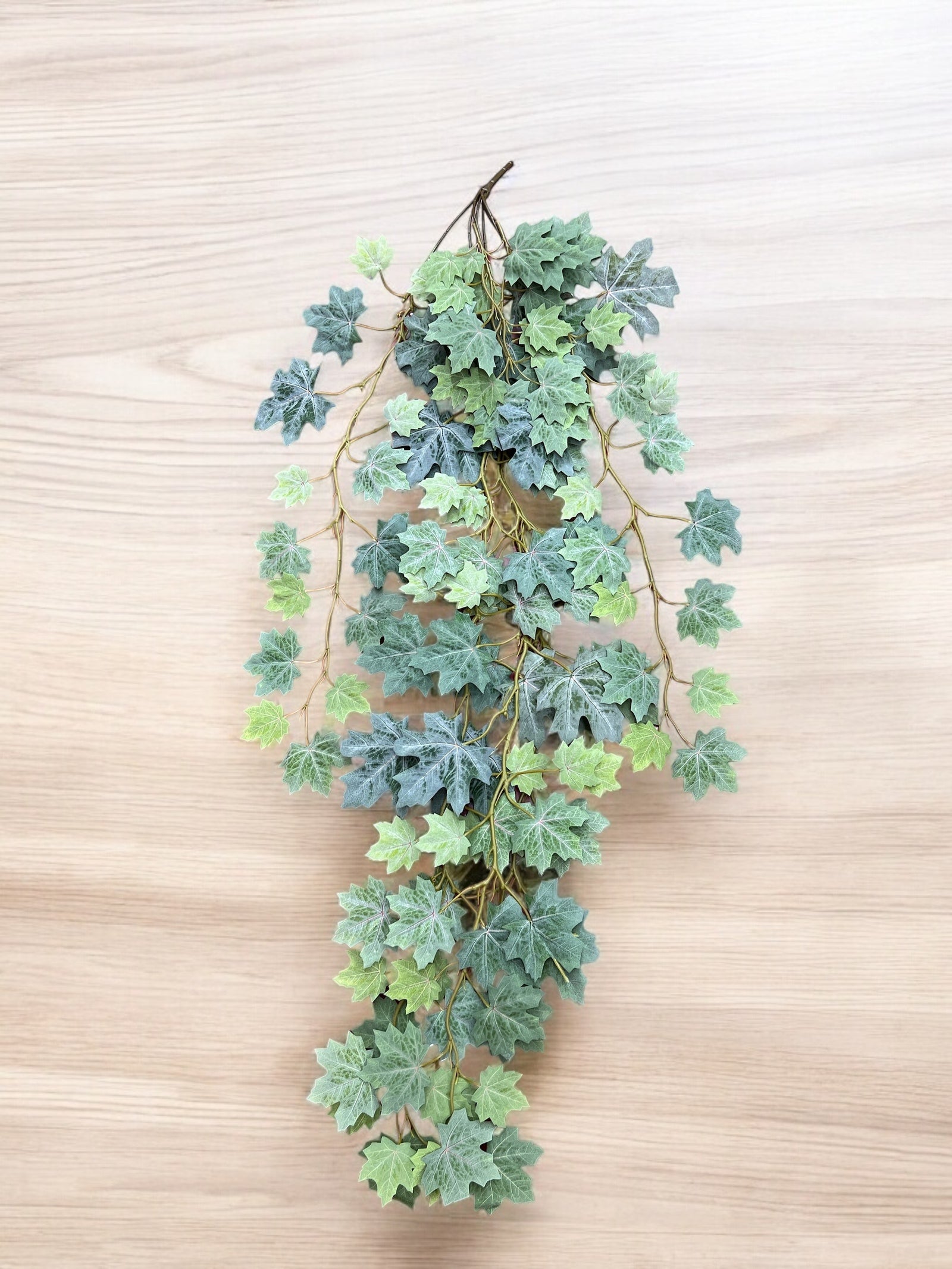 Photoroom_20241217_155609