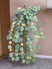 Photoroom_20241217_160129