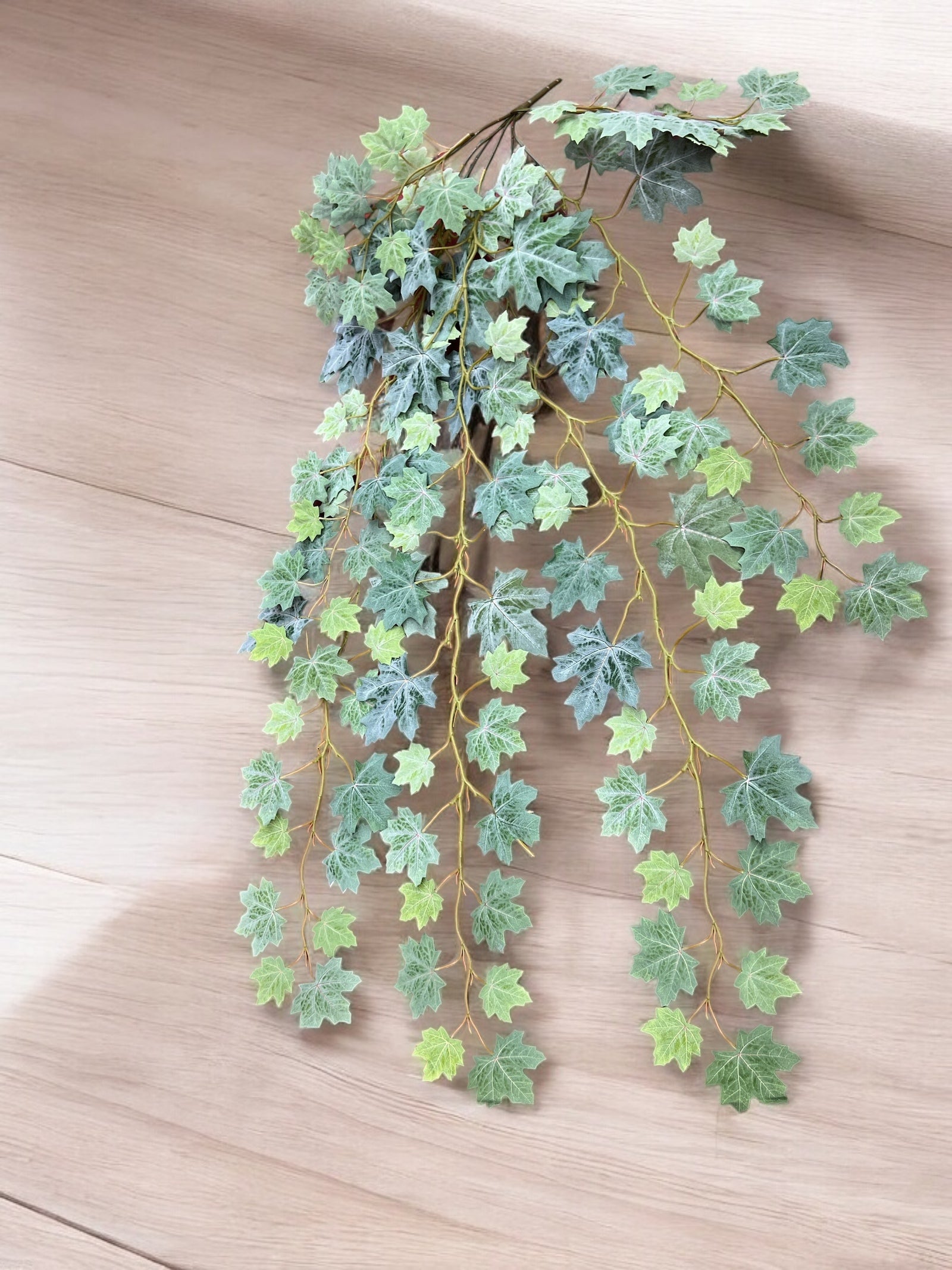 Photoroom_20241217_160249