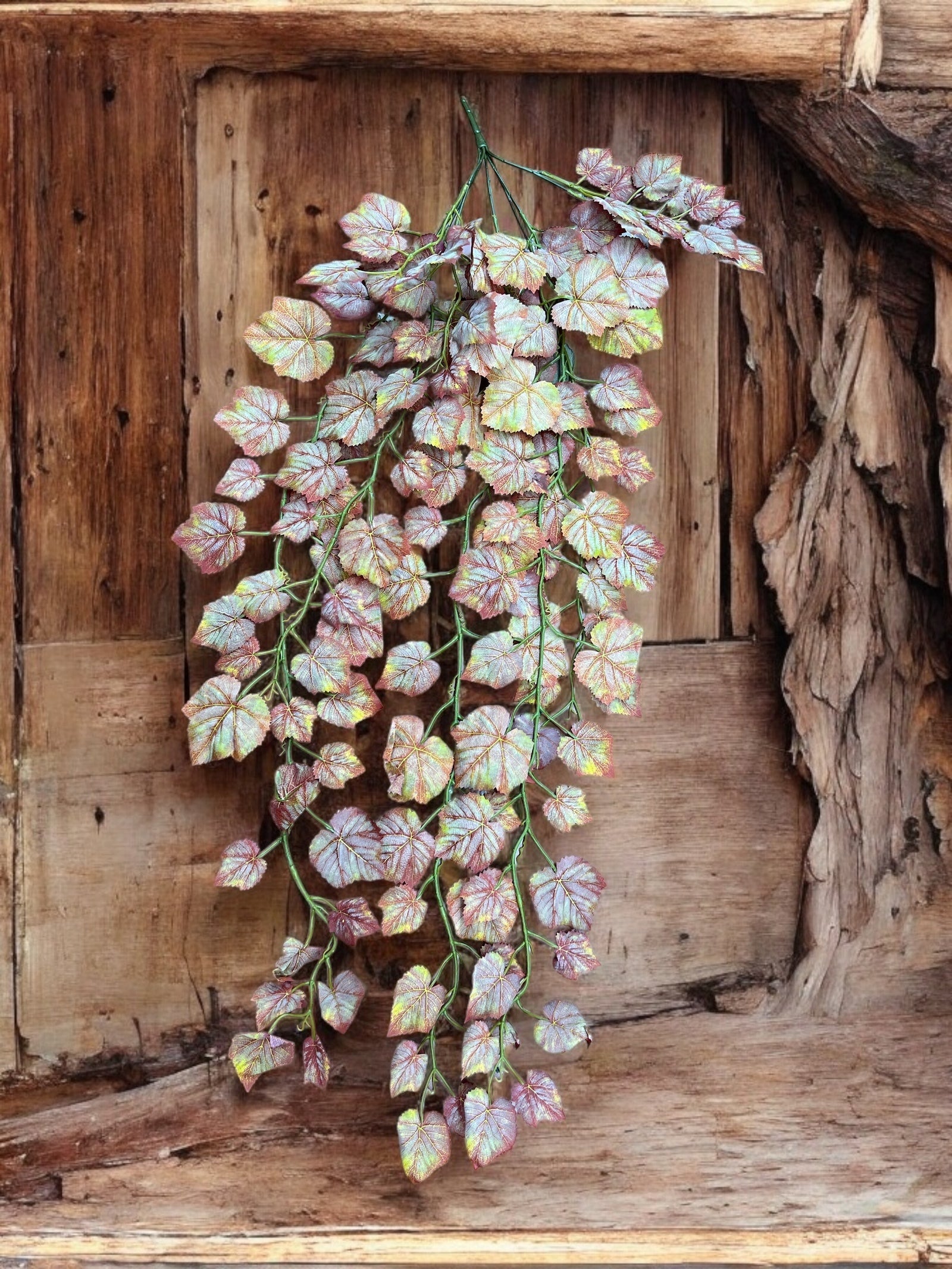 Photoroom_20241217_155941