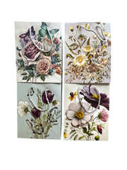 Photoroom_20241218_142433