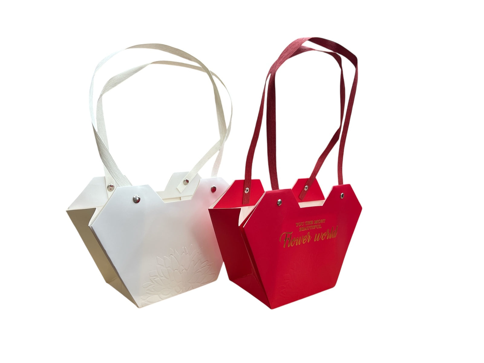 Photoroom_20241218_141205