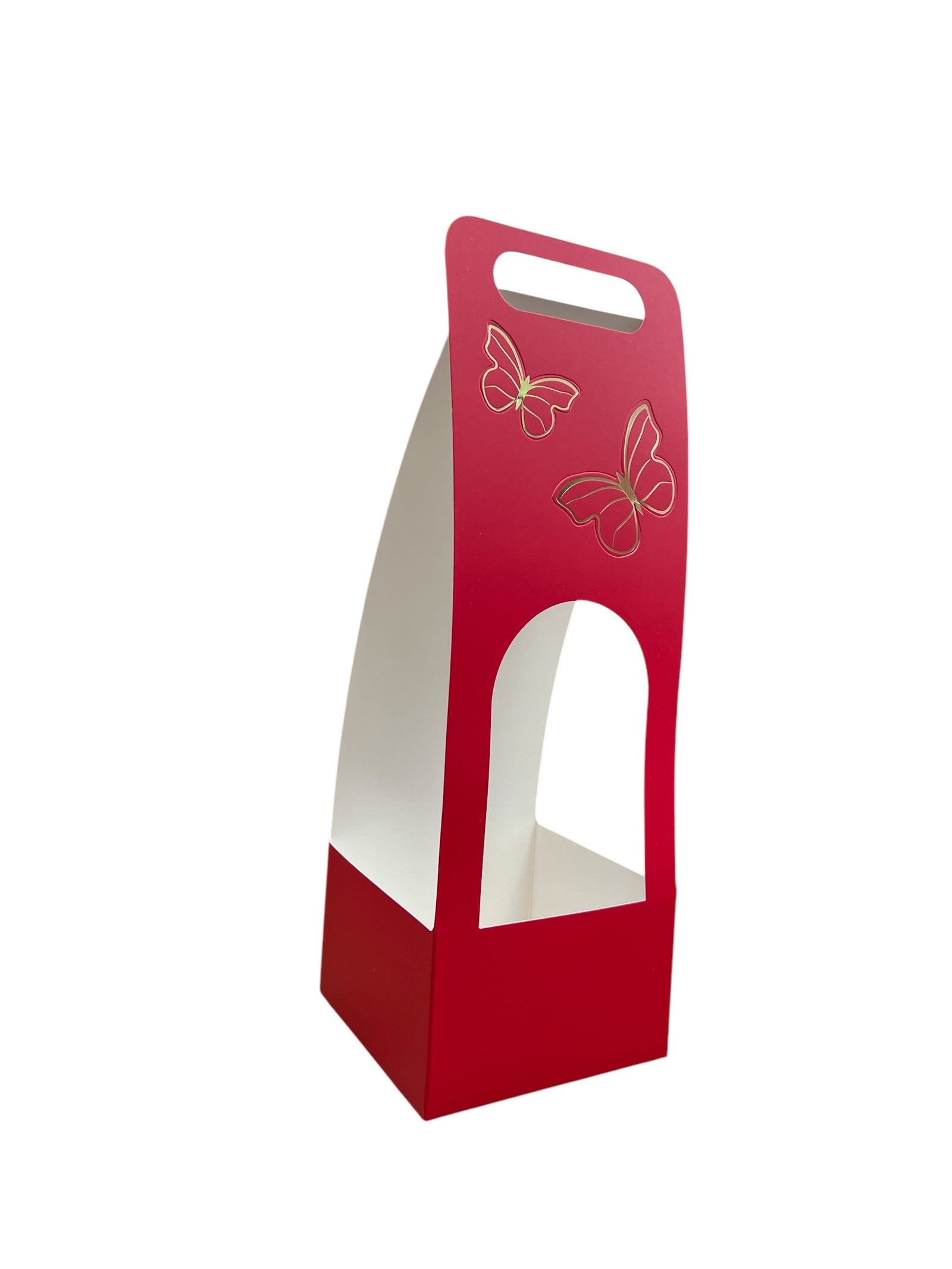 Photoroom_20241218_153657