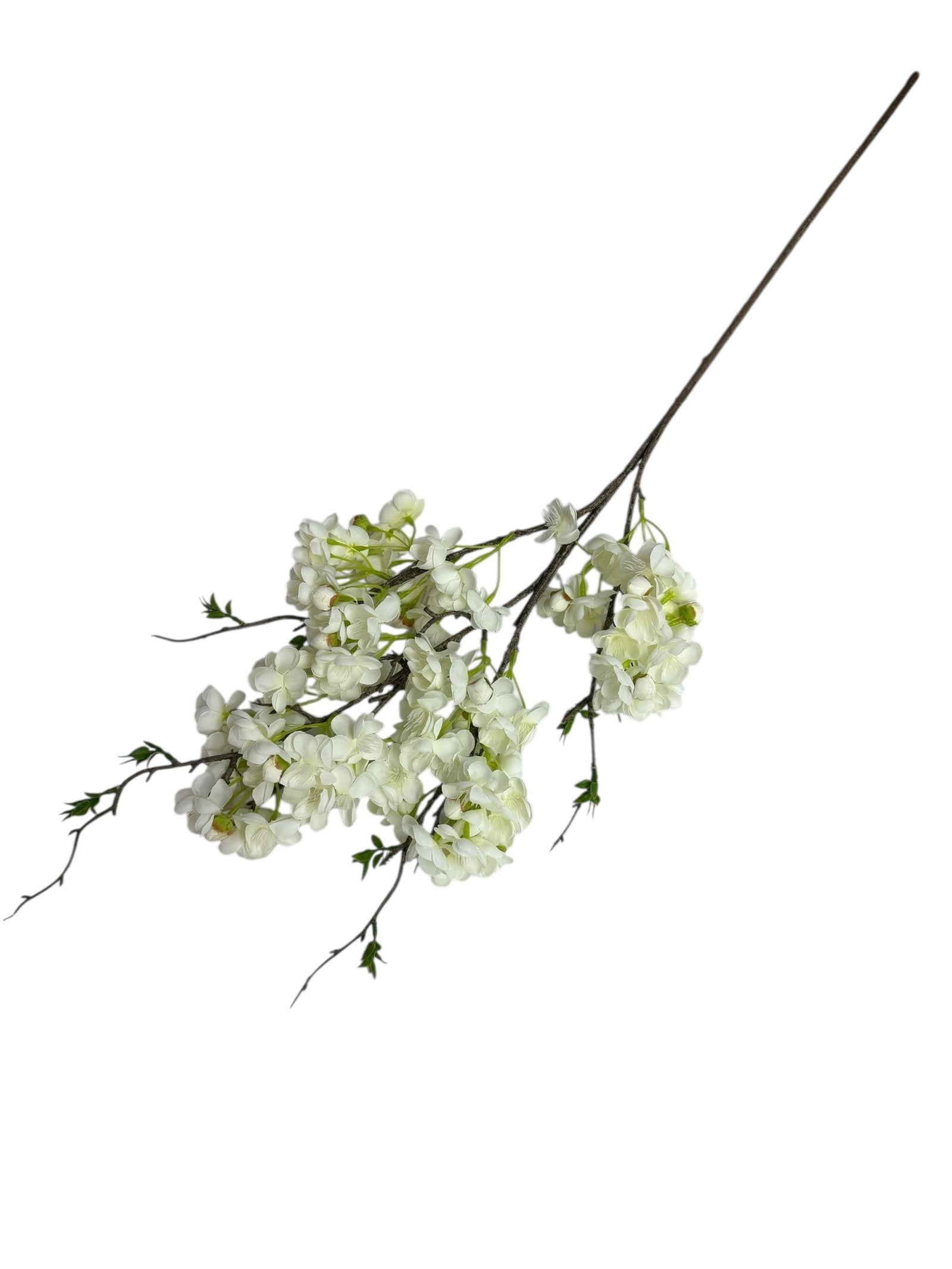 Photoroom_001_20251211_150826