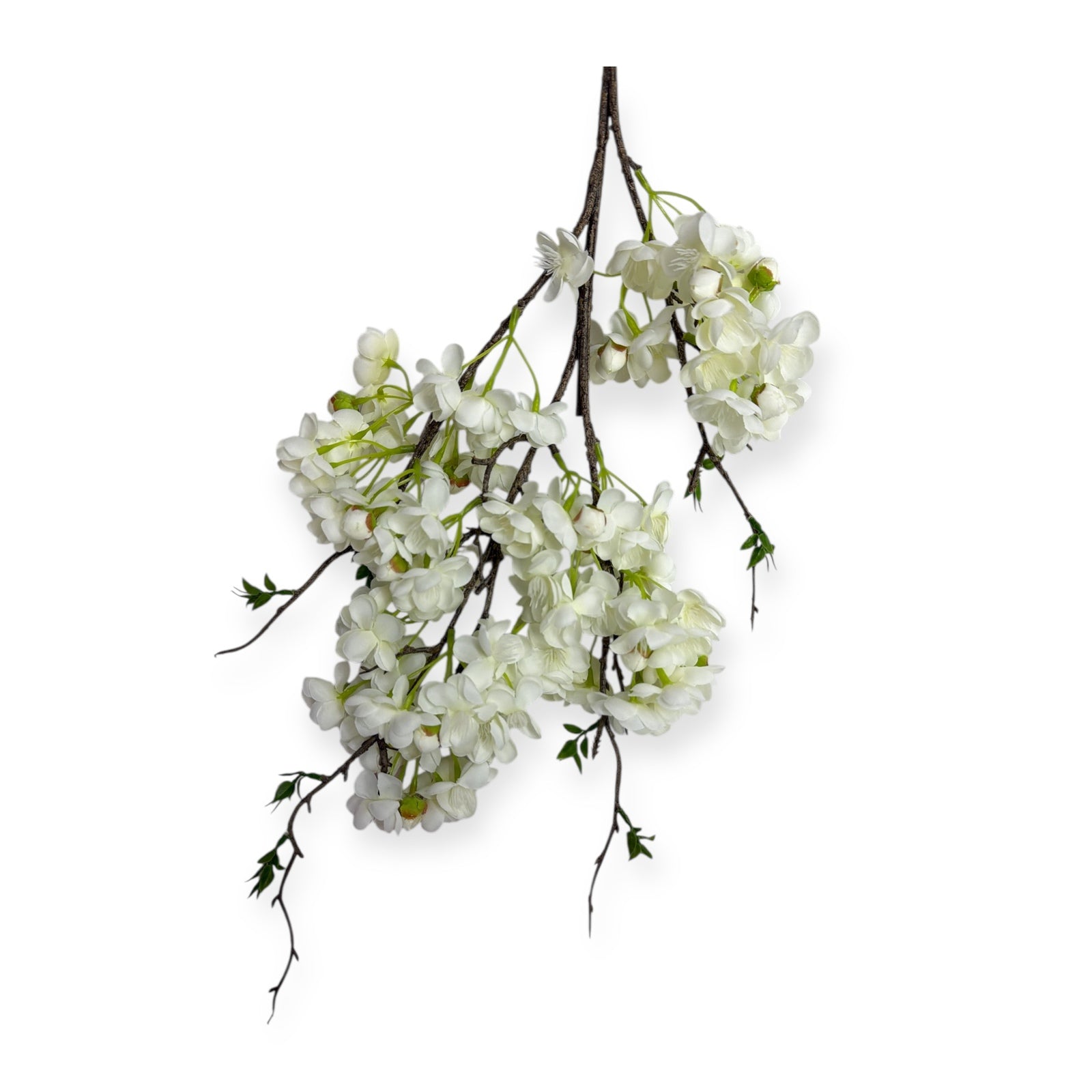 Photoroom_20251211_150924